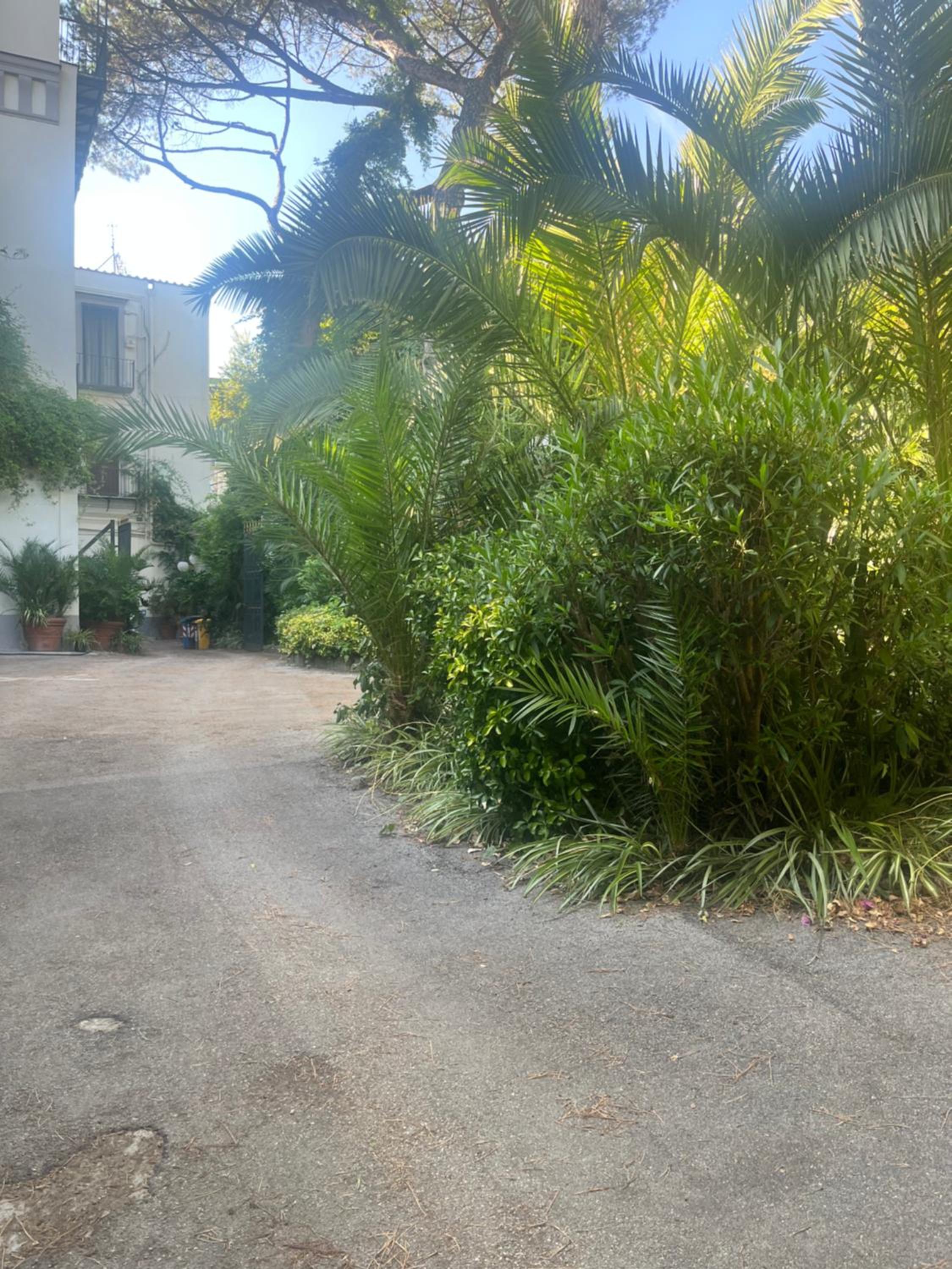 Mediterraneo Apartment