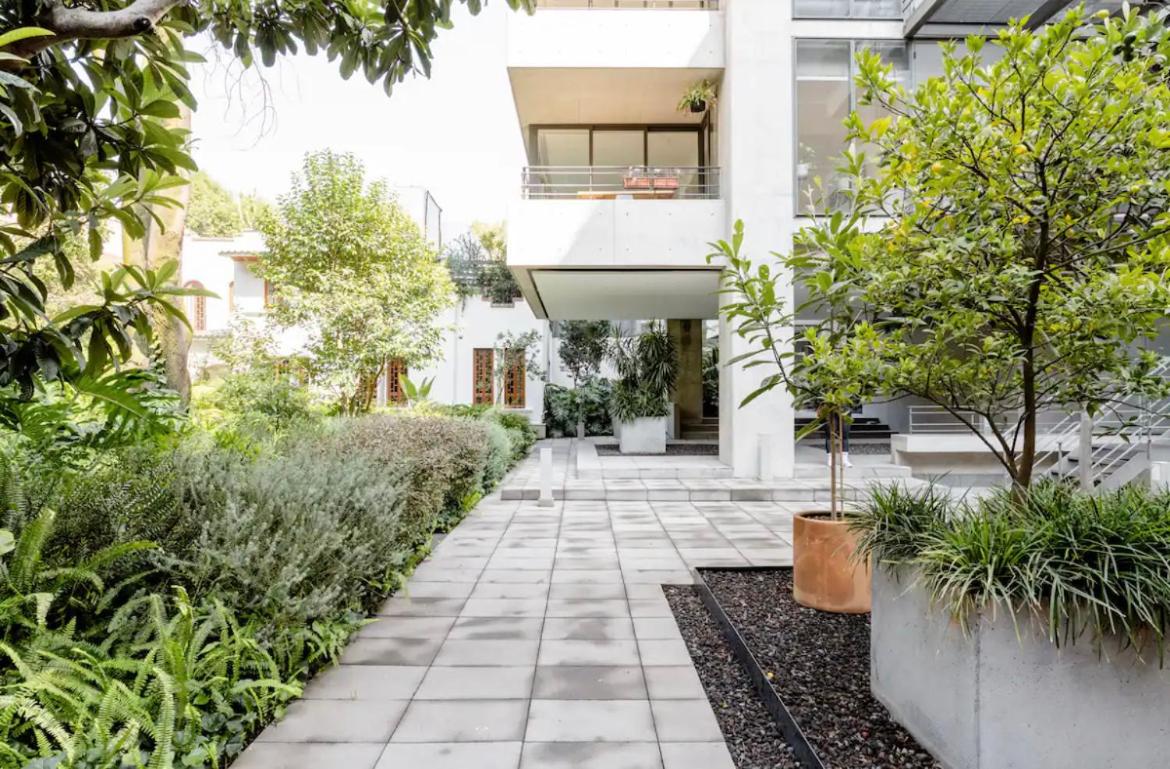 Nest House Condesa view 2