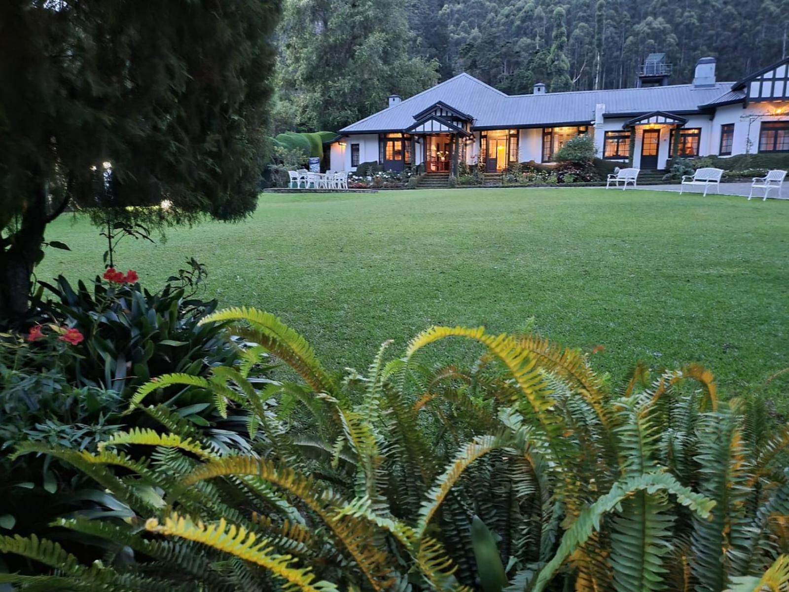 Hill Cottage