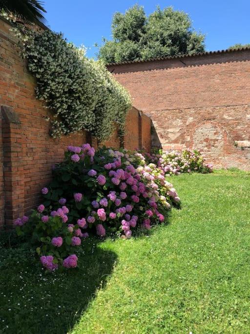 "PALAZZO SABBIONI" Appartamento Lusso Due Camere Soggiorno Cucina view 4