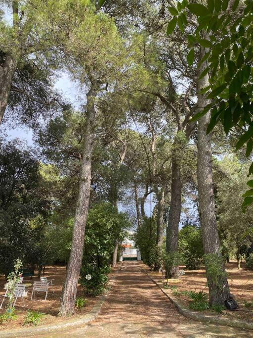 Trullo rosa view 3