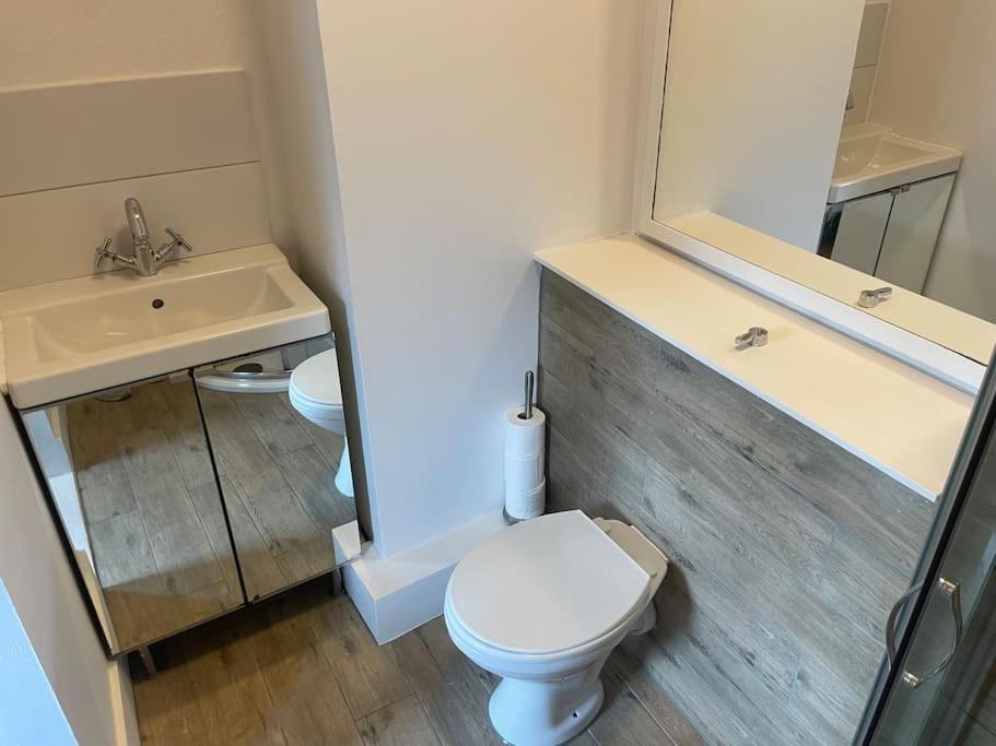 Beautiful London Victorian house, sleeps 12