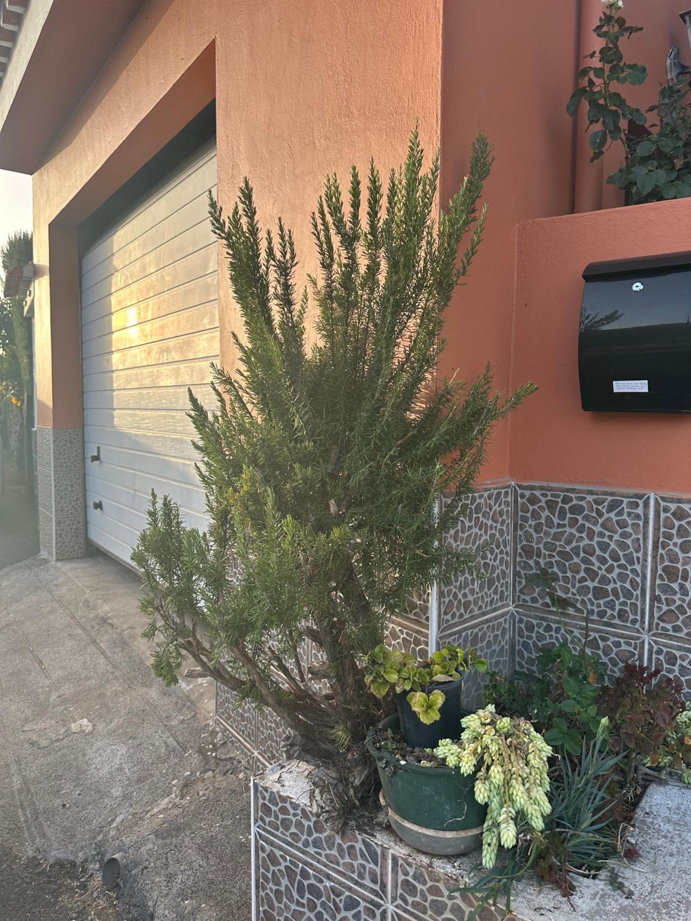 Apartamento Fortaleza