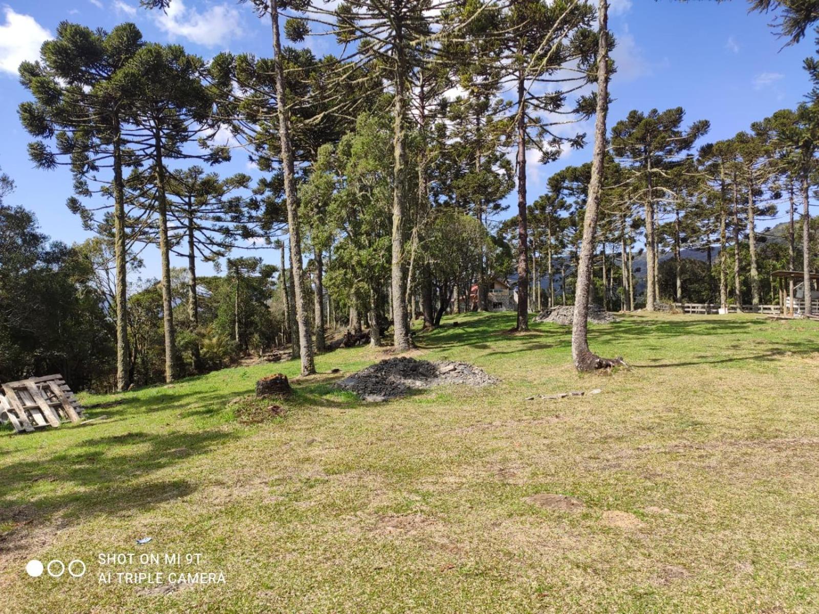 Cabanas das Araucárias