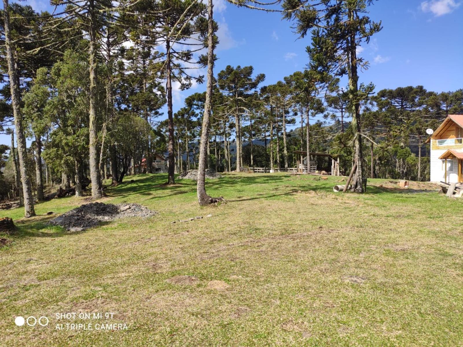 Cabanas das Araucárias