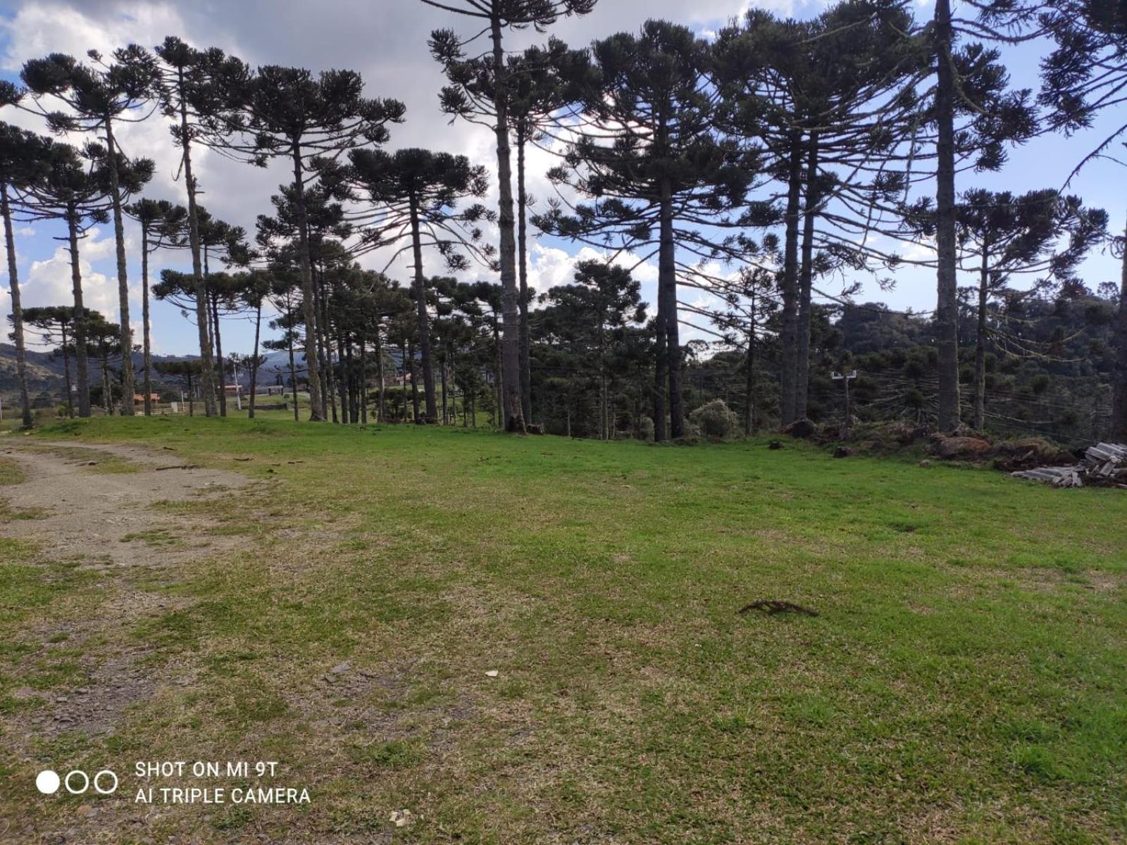Cabanas das Araucárias
