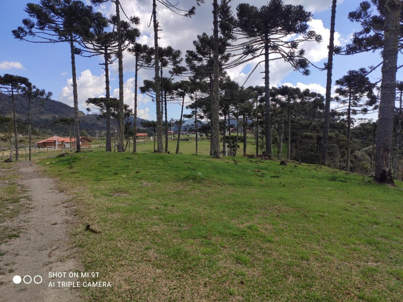 Cabanas das Araucárias