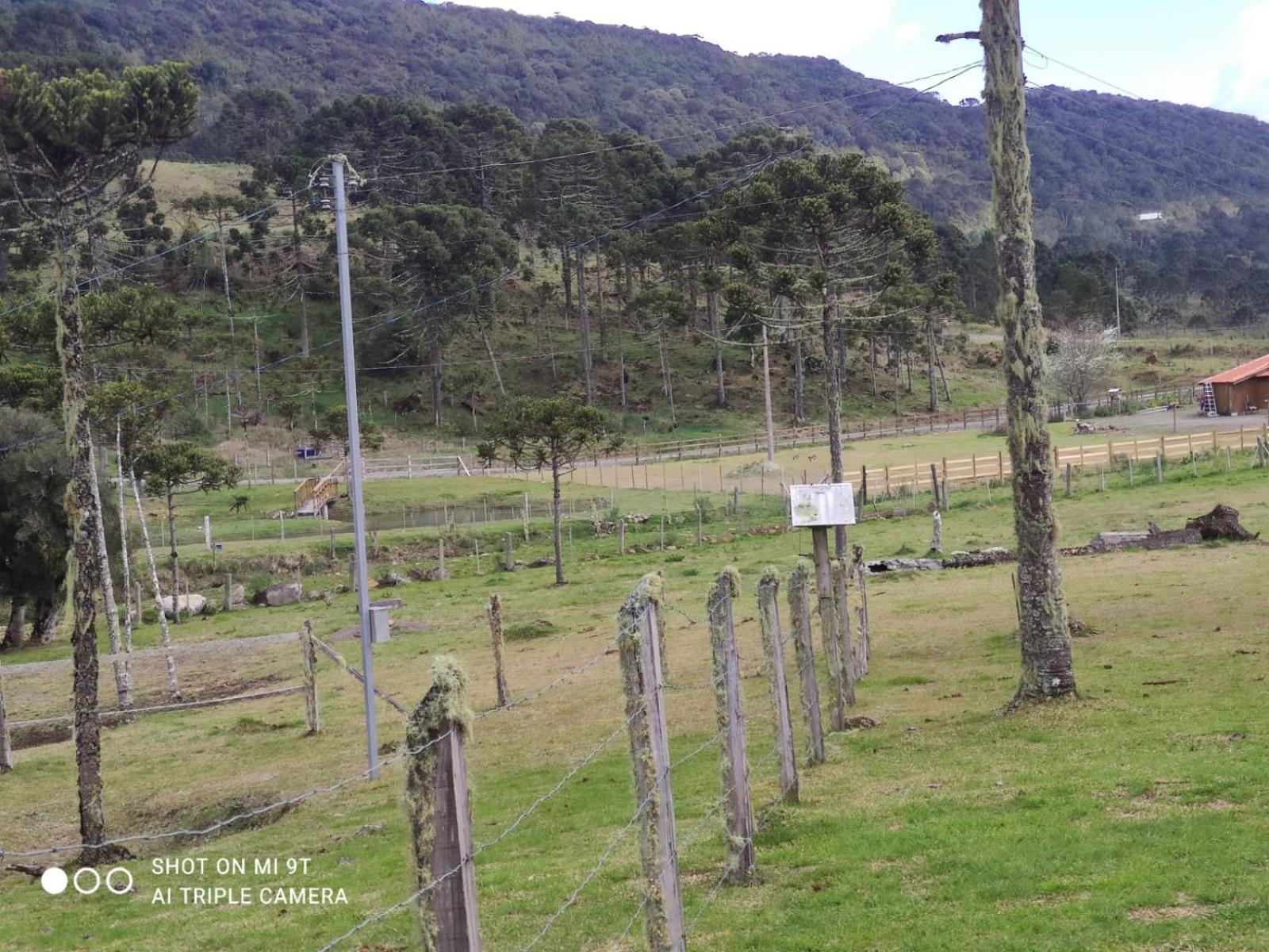 Cabanas das Araucárias