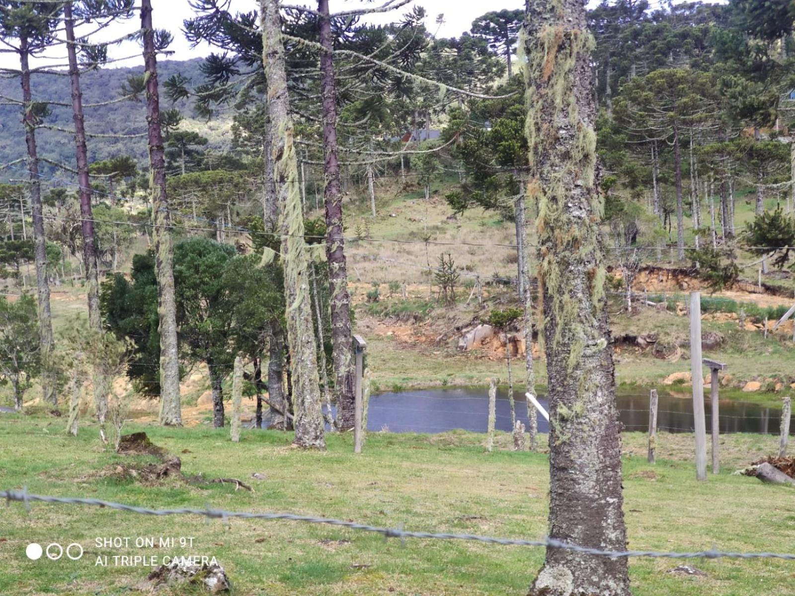 Cabanas das Araucárias