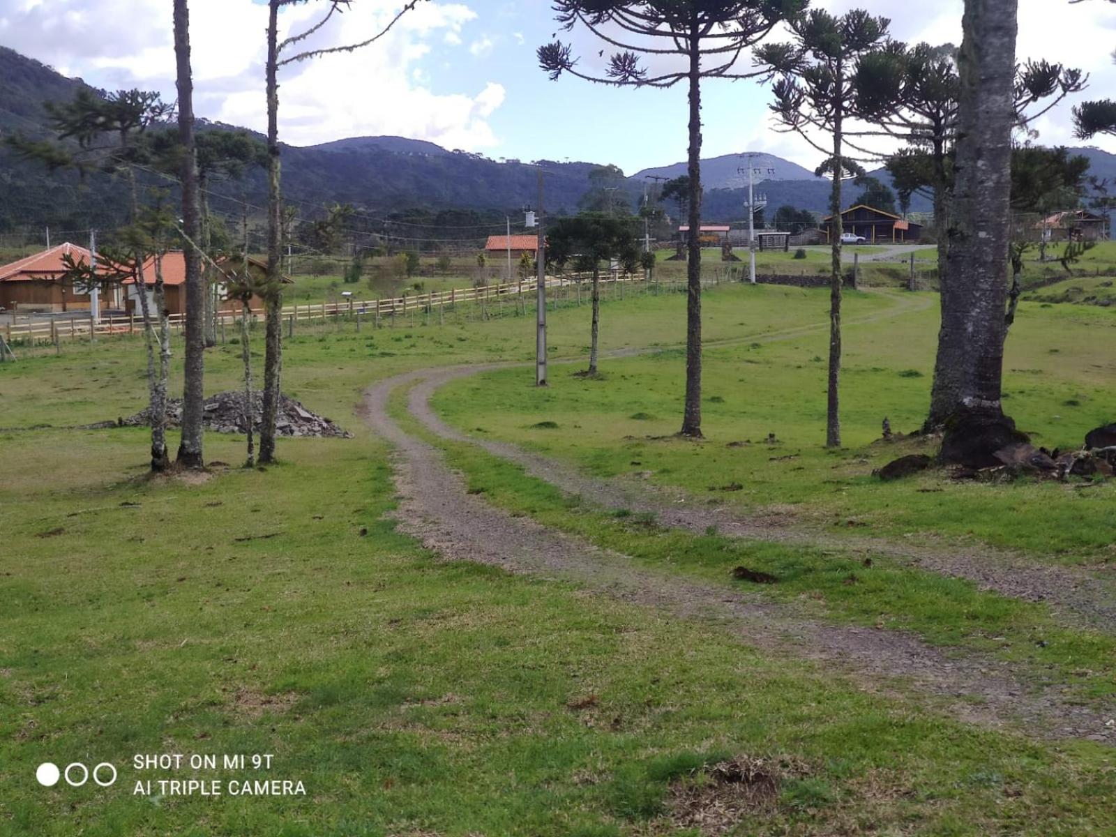 Cabanas das Araucárias
