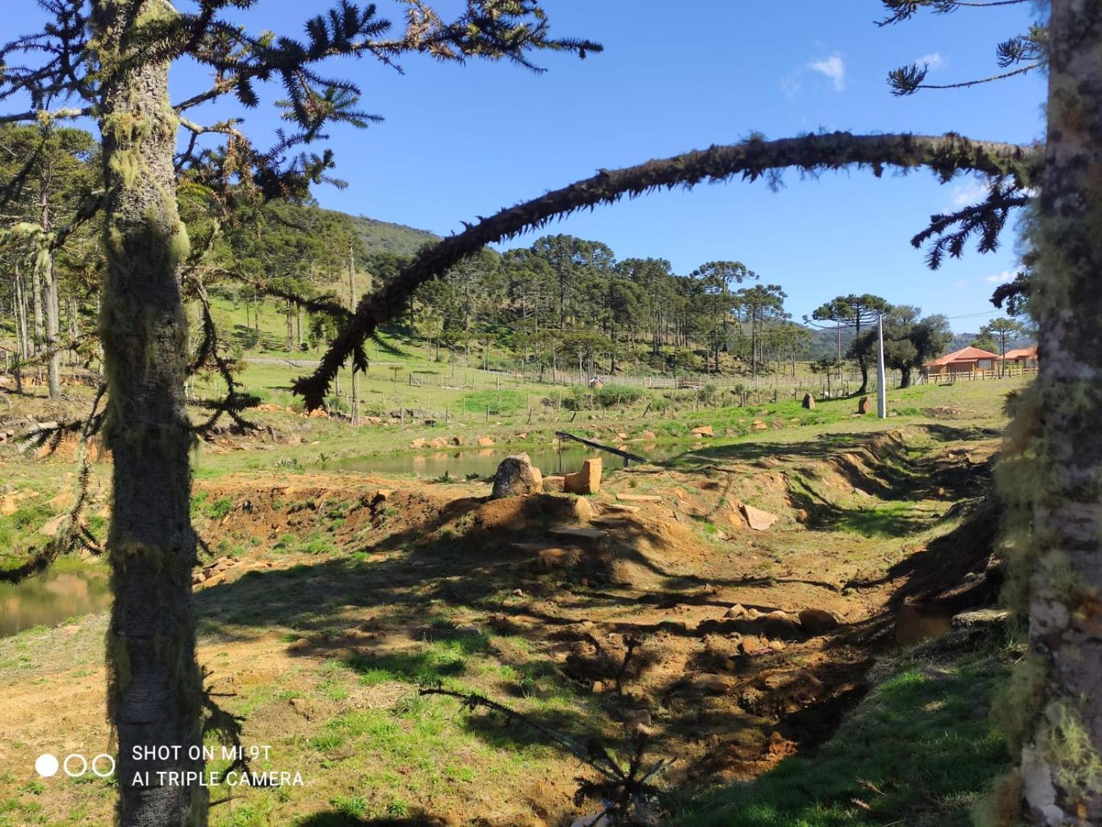 Cabanas das Araucárias