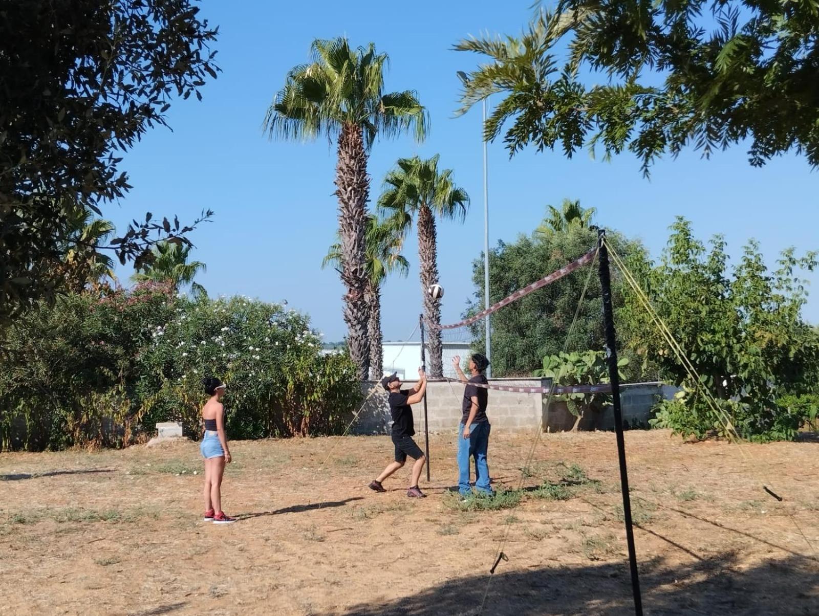 Photo 41