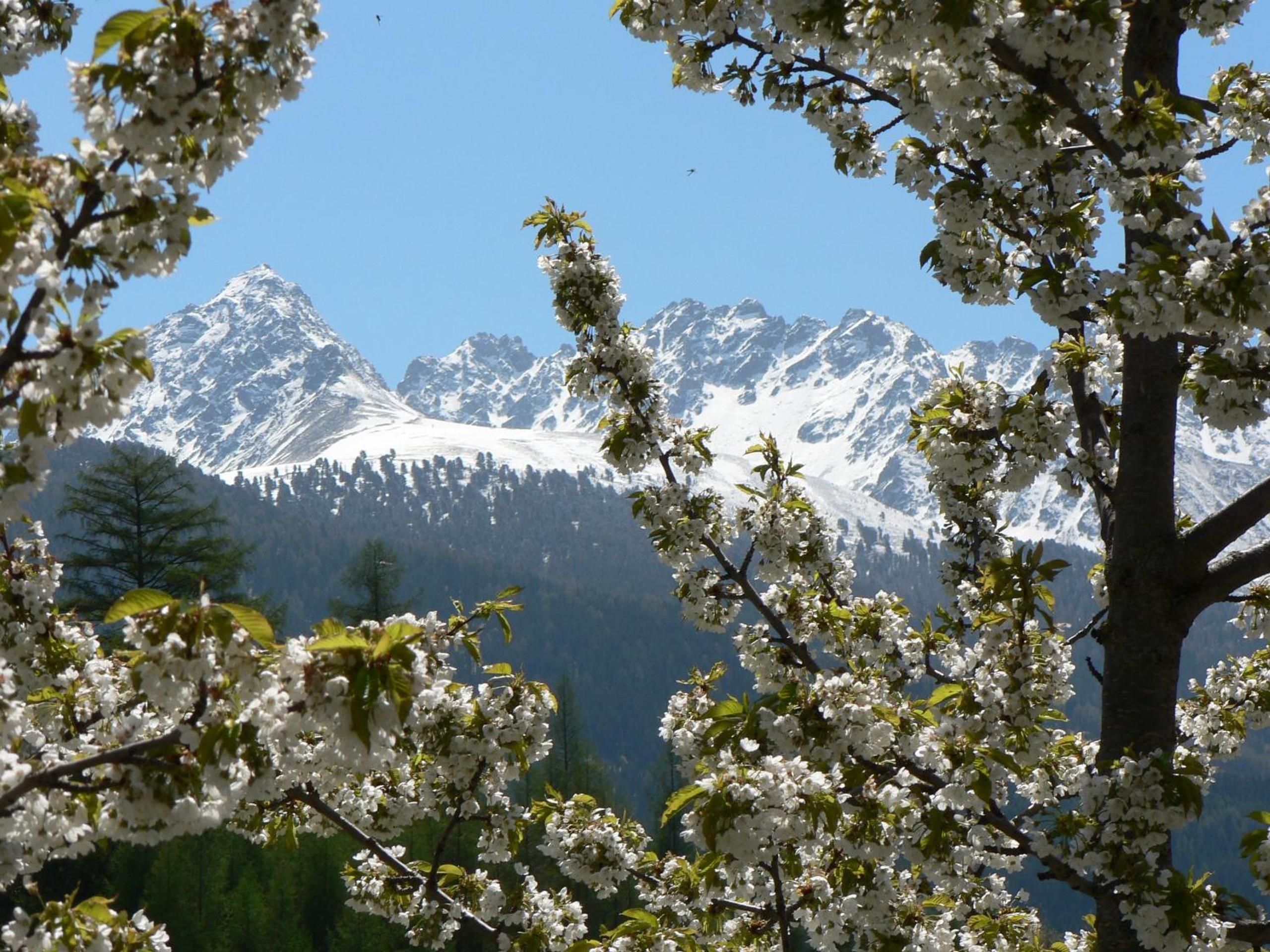 Apart Pension Bergfrieden
