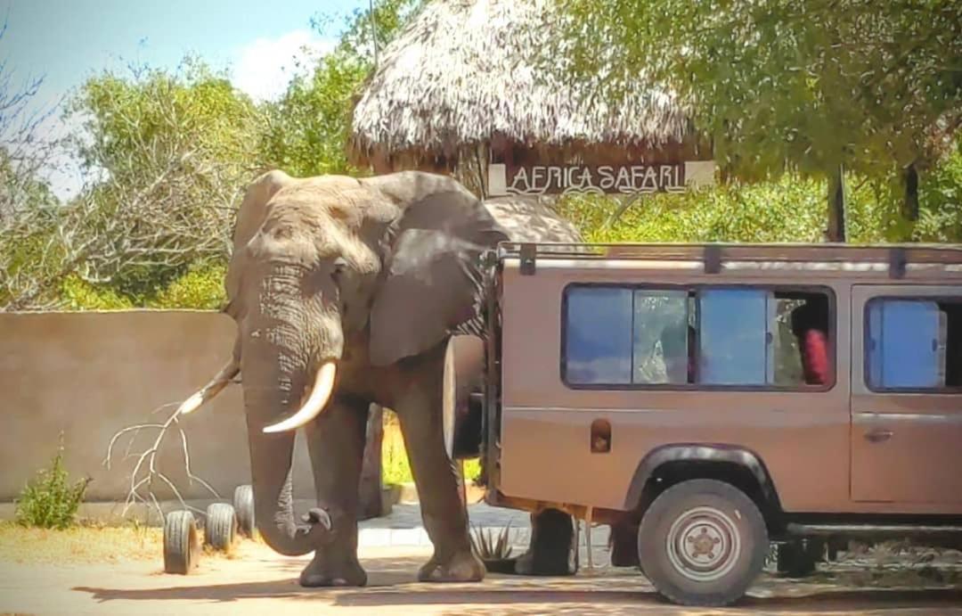 Africa Safari Selous Nyerere national park view 4