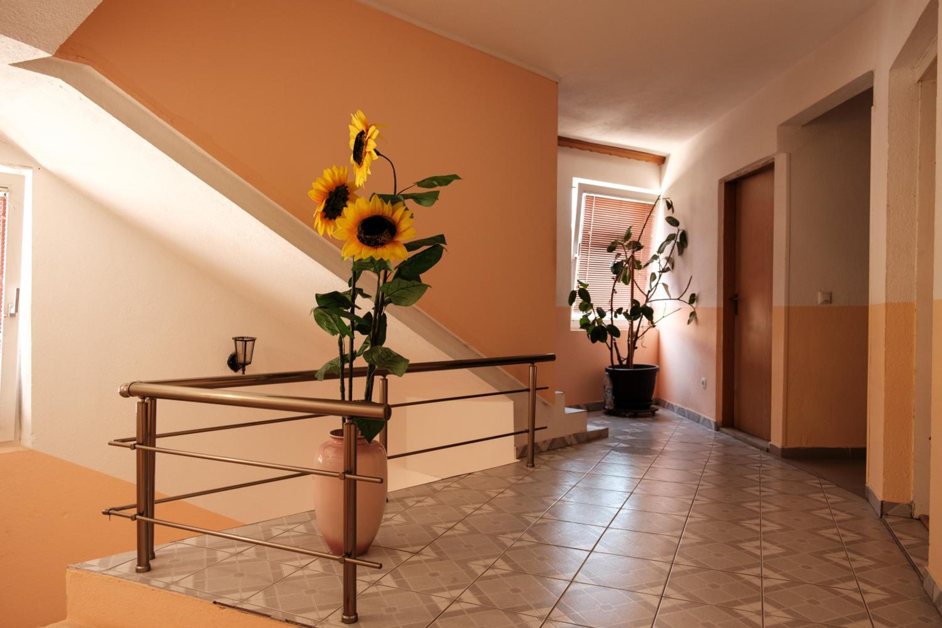 Guesthouse 