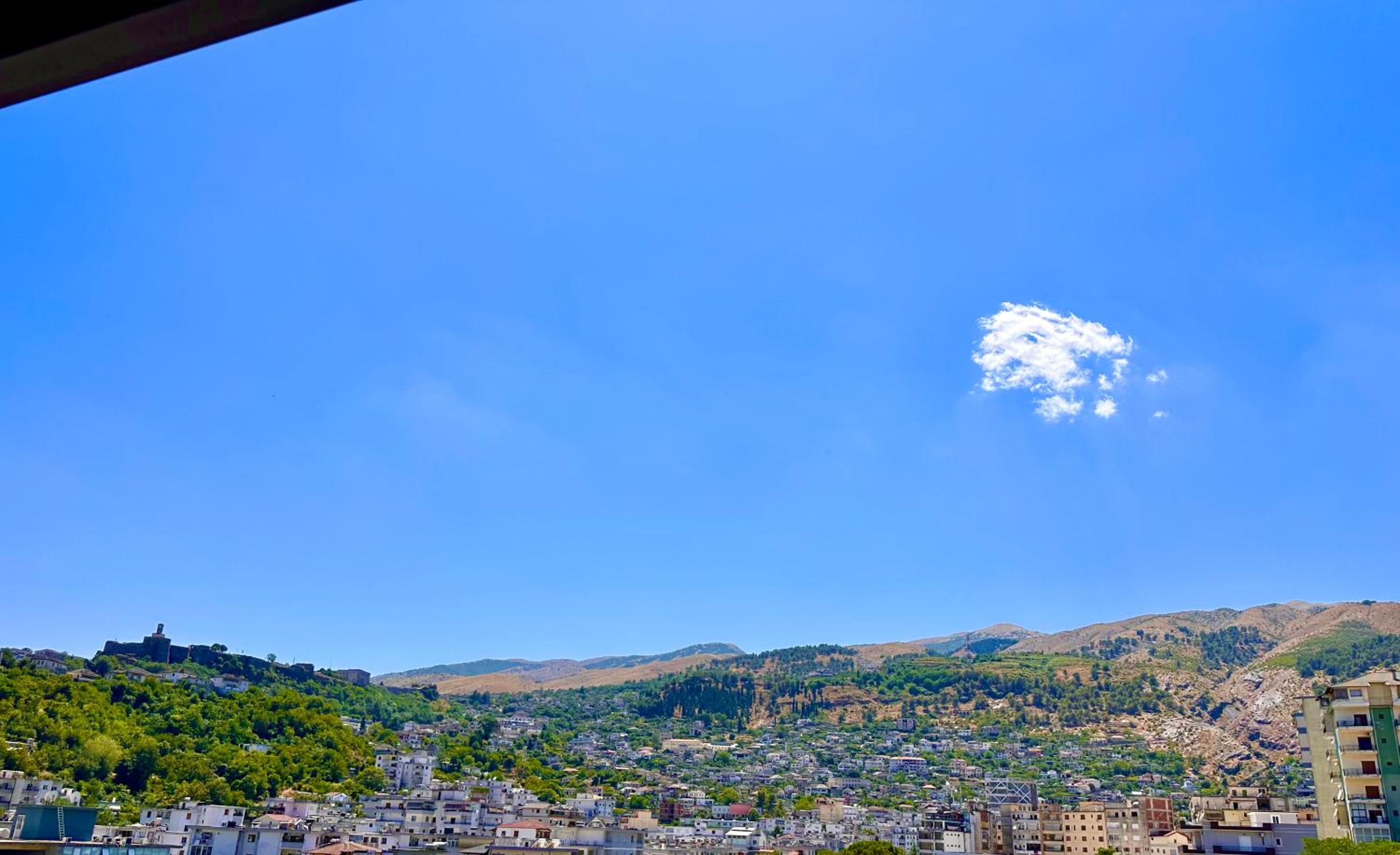 The Luxe Apartments photo 5