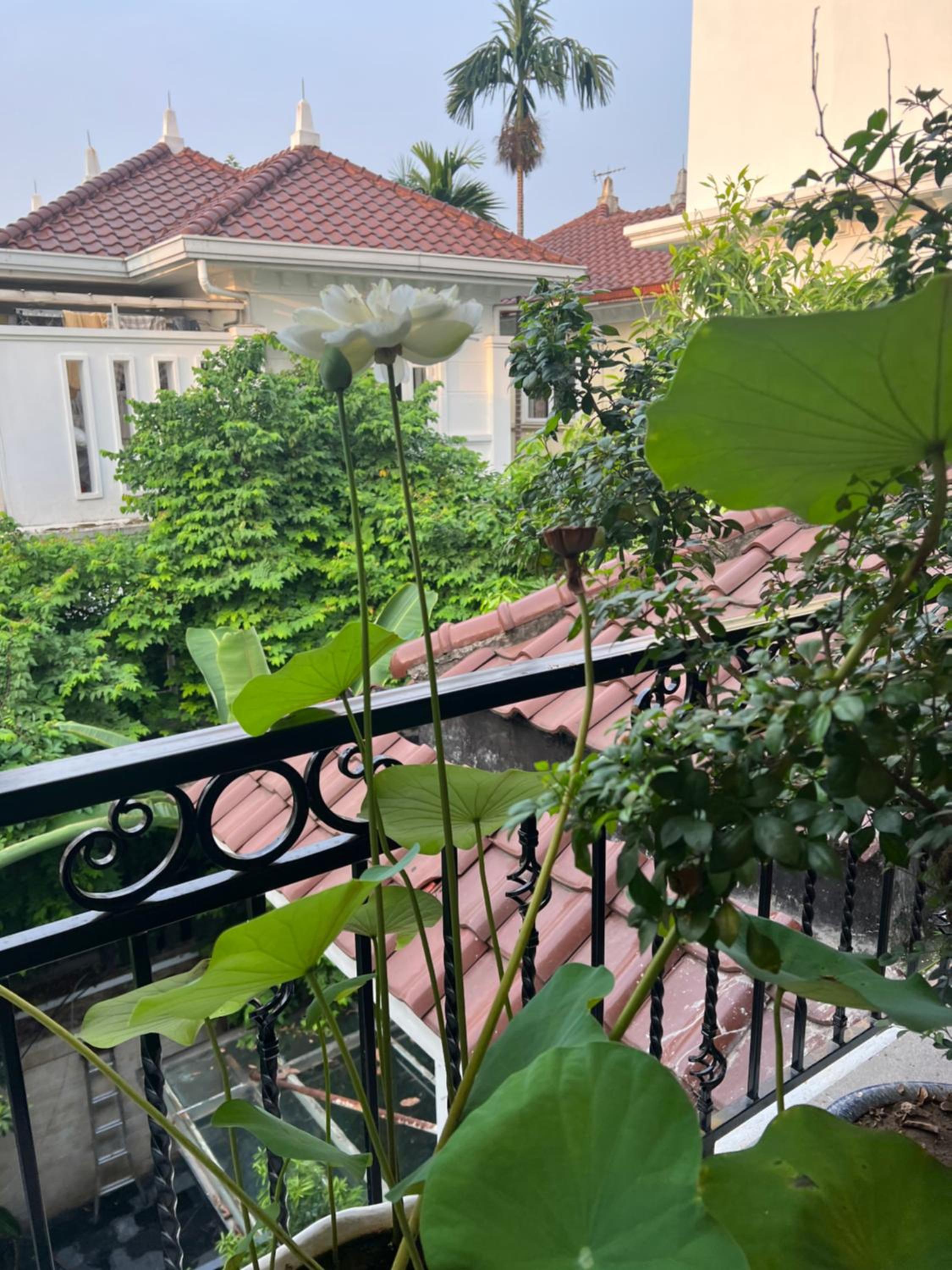 Perfect private villa and outdoor spa with garden 4 bedrooms