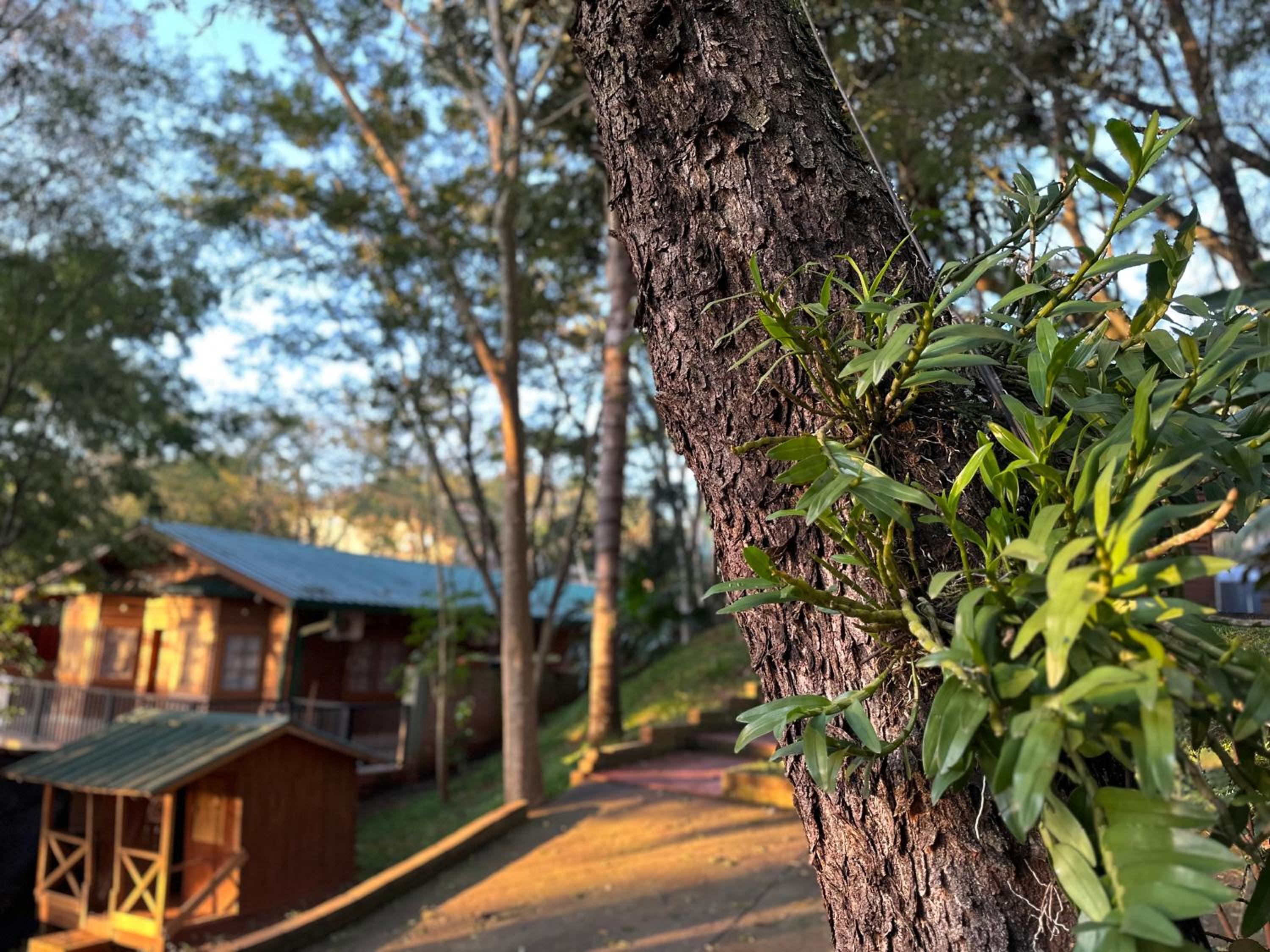 Costa del Sol Iguazú
