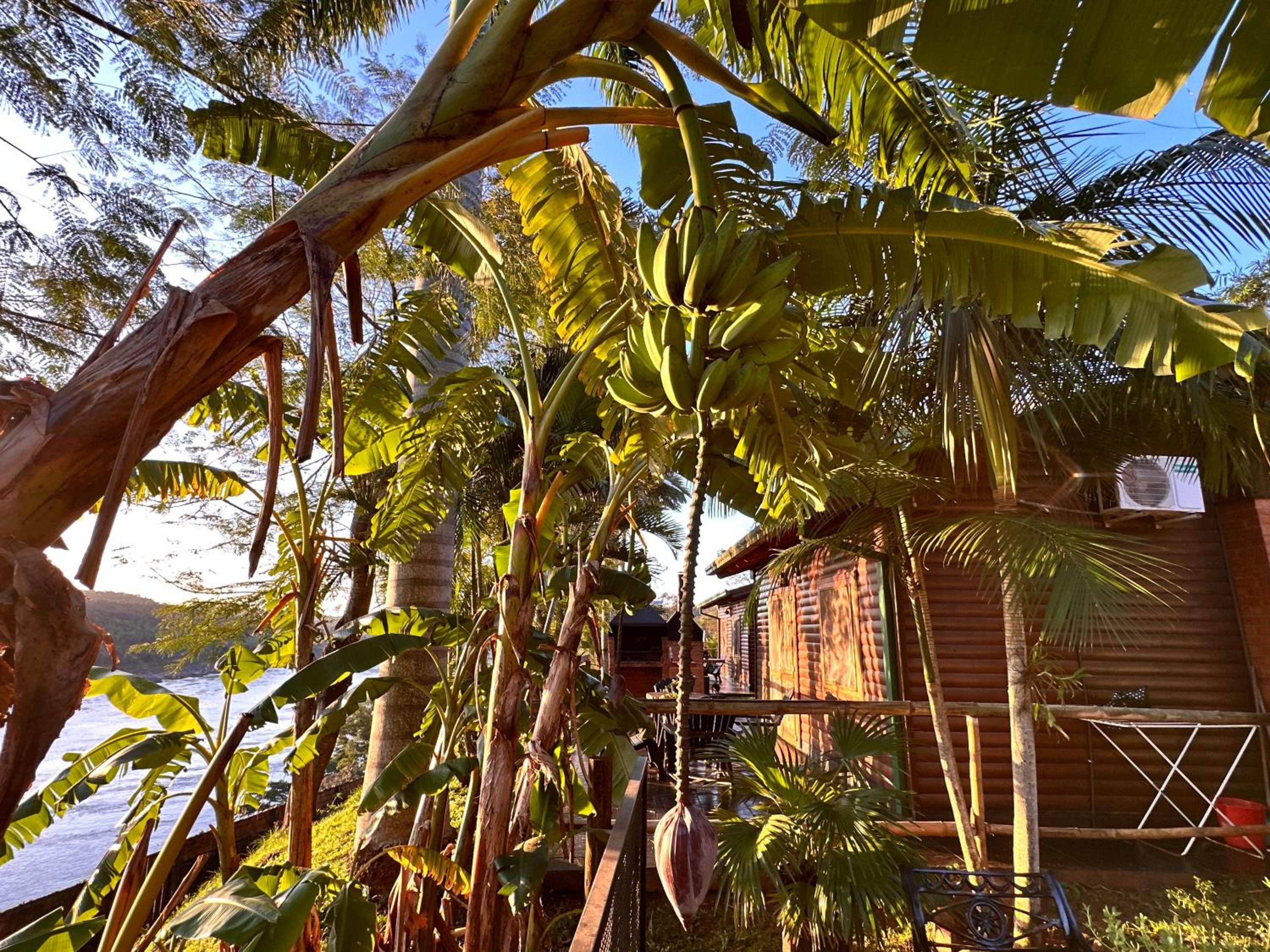 Costa del Sol Iguazú
