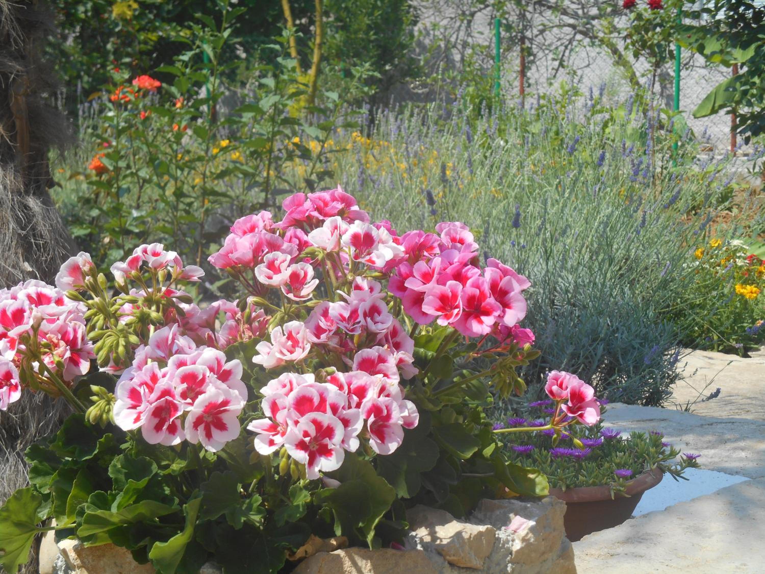 Photo 47