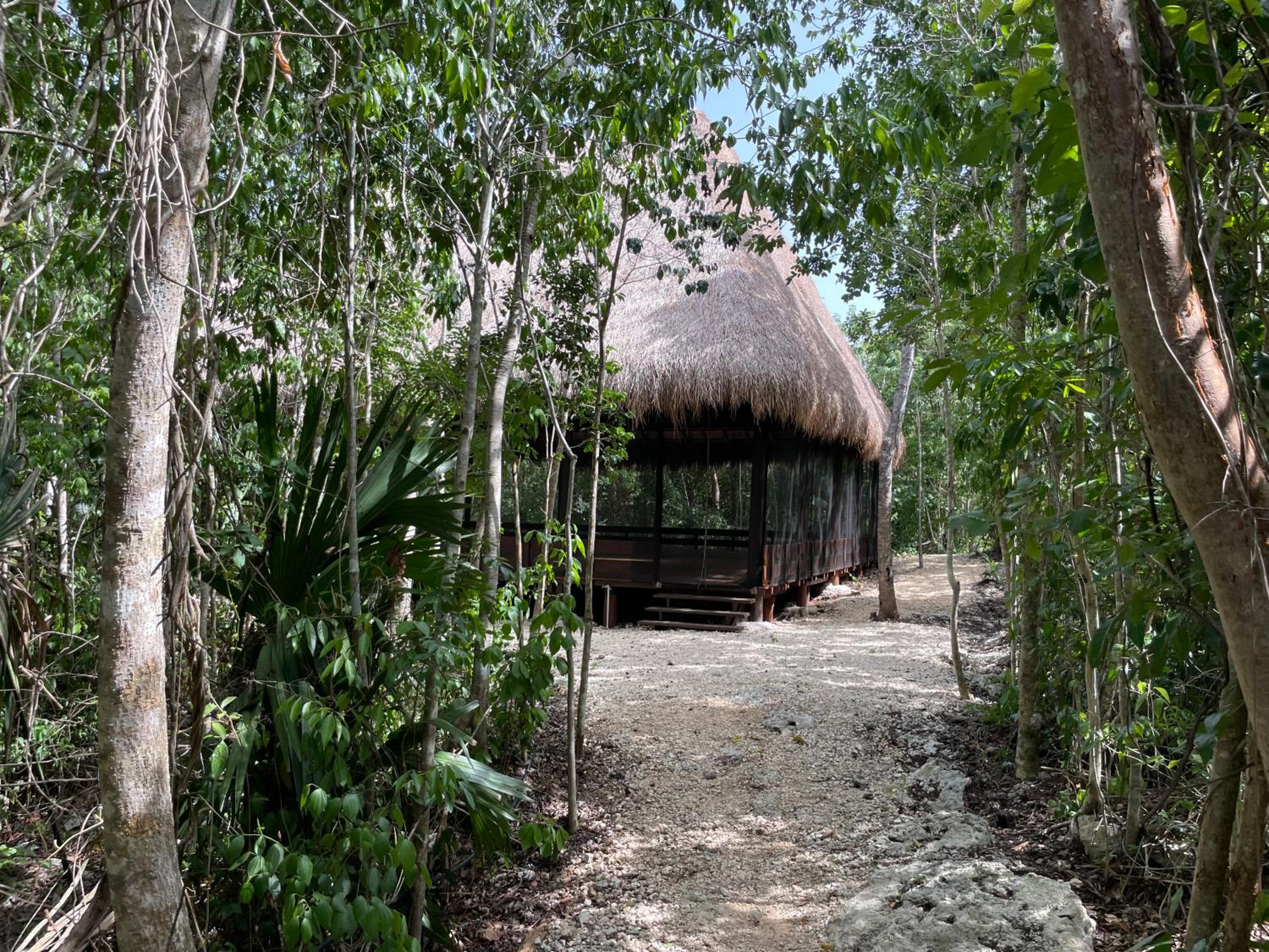 Magical jungle Eco Cabana -Tulum