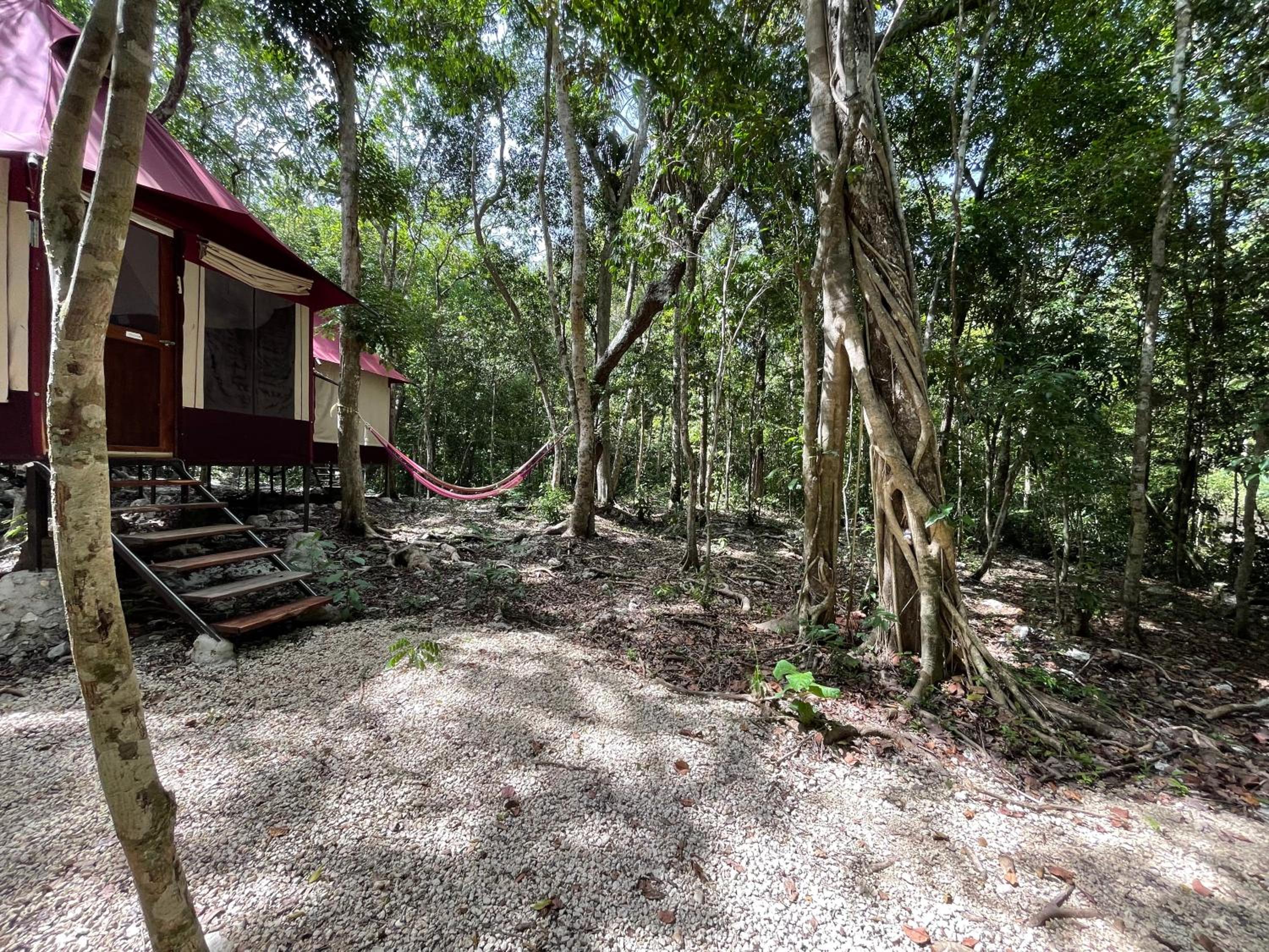 Magical jungle Eco Cabana -Tulum