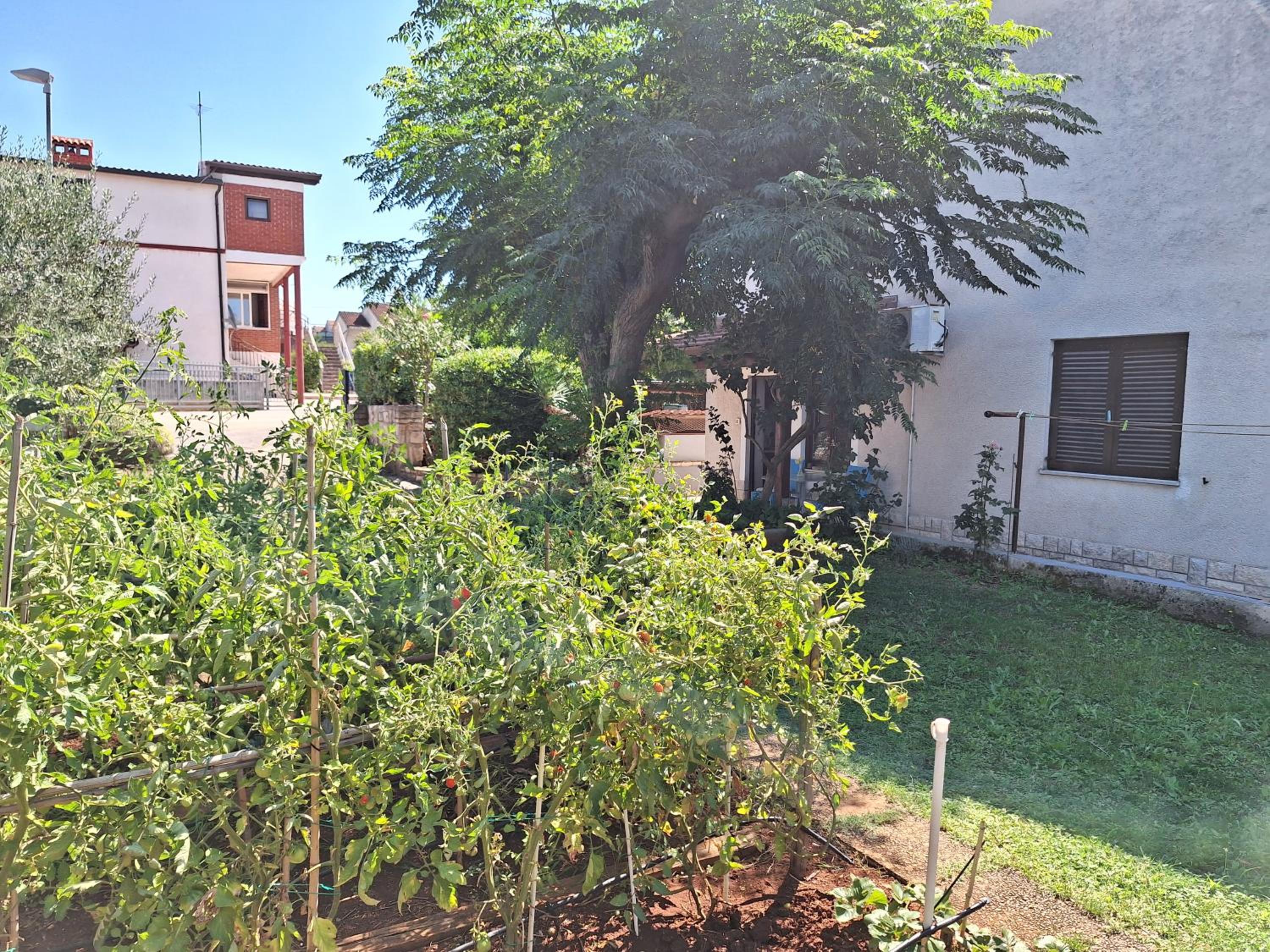 Photo 26