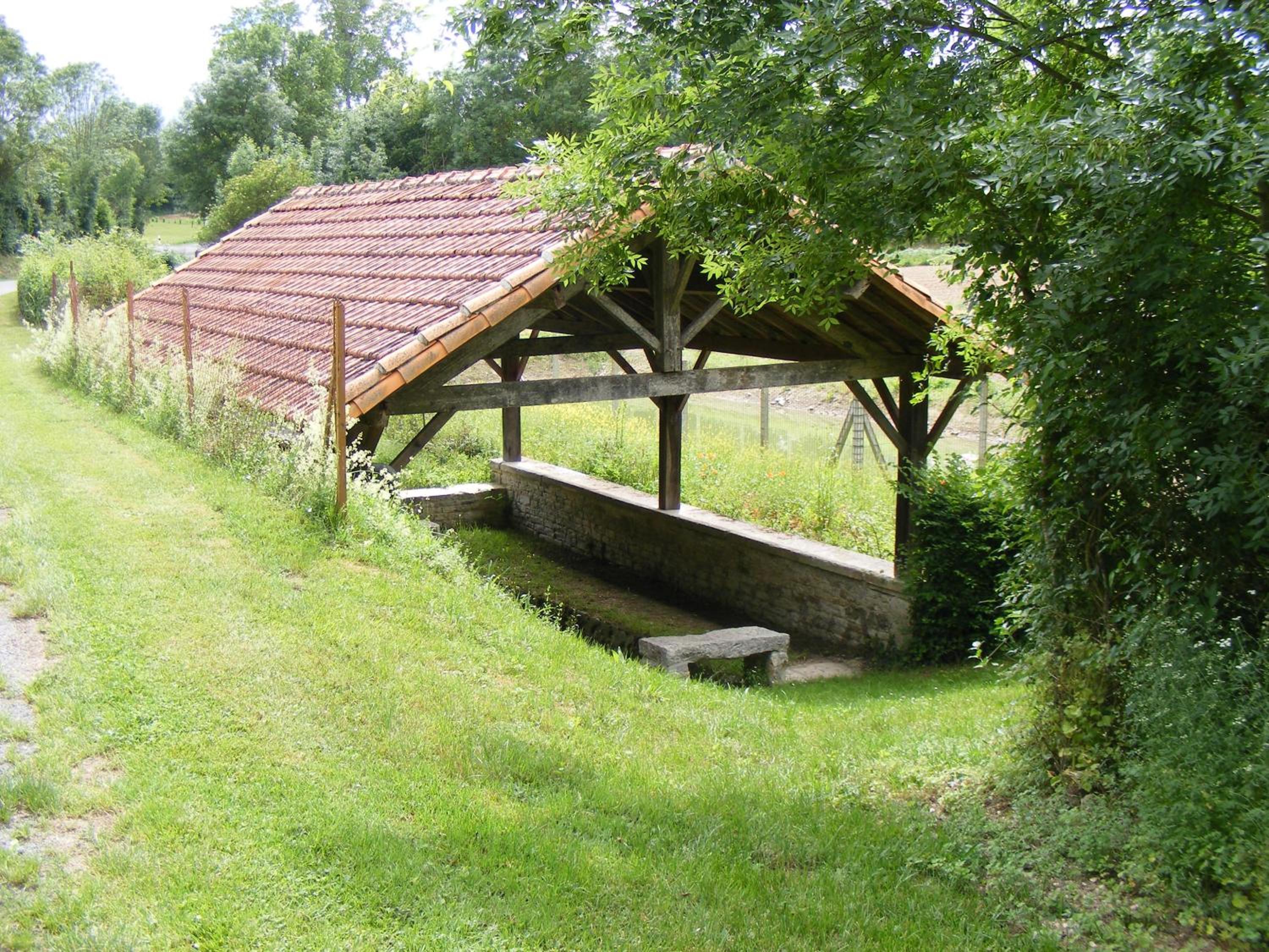Photo 15