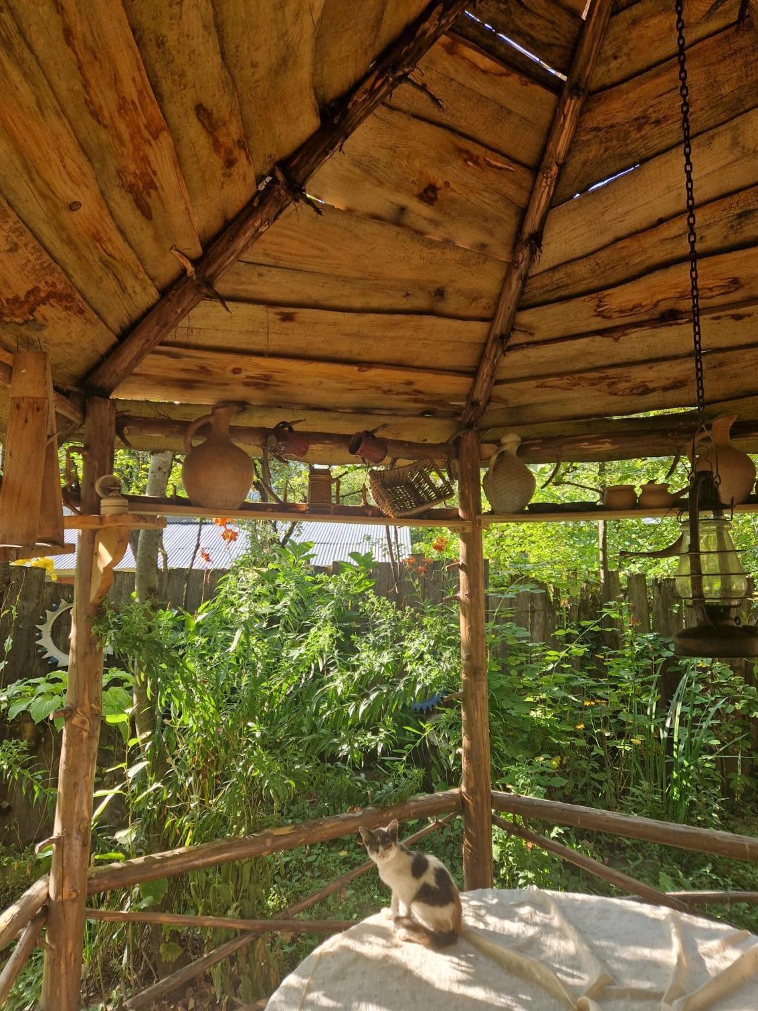 Guest House "SVANETI"