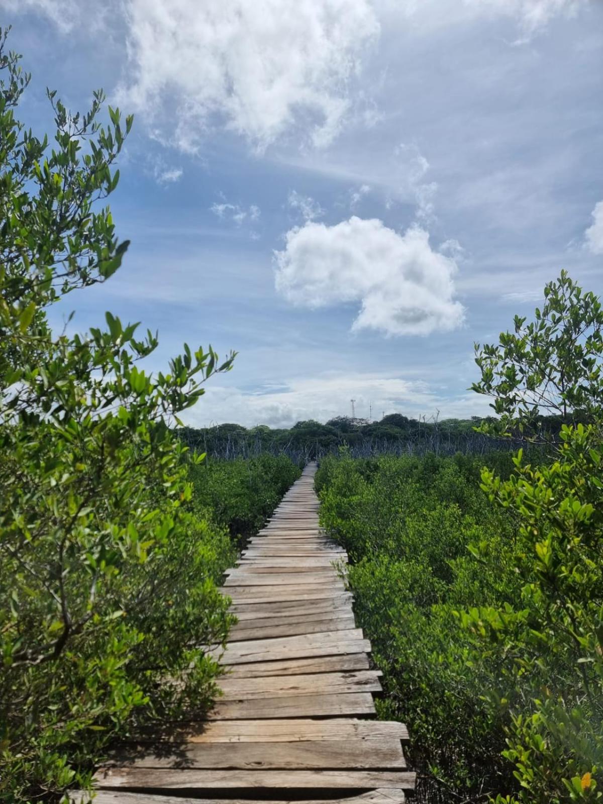EcoVillas Las Melinas