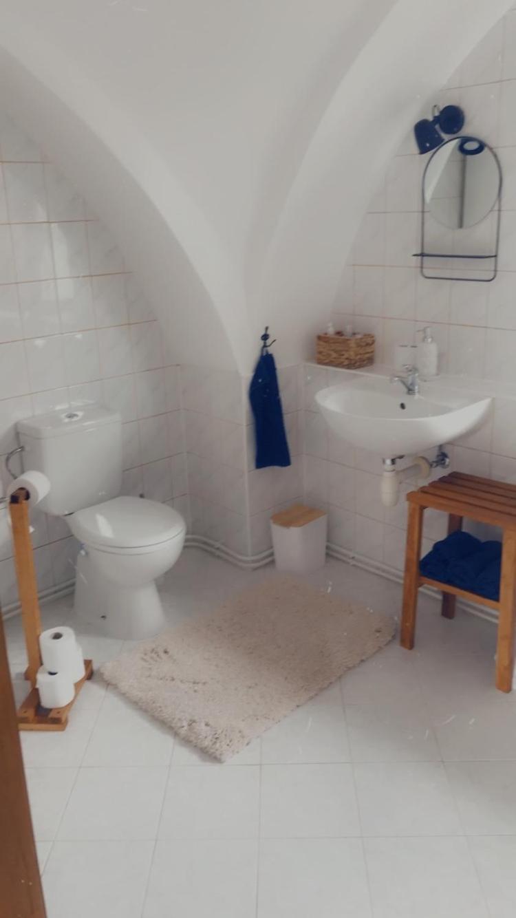 Apartmán v koňském areálu Židovice