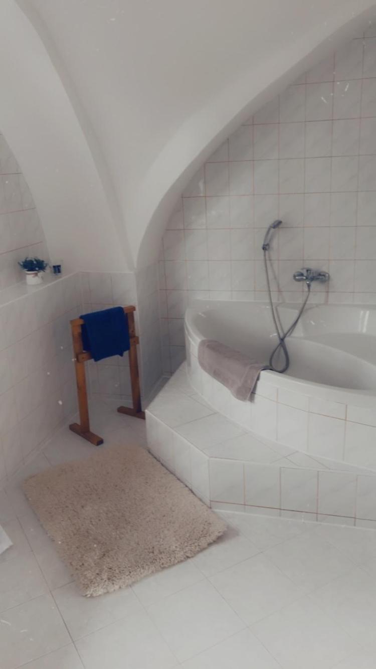 Apartmán v koňském areálu Židovice