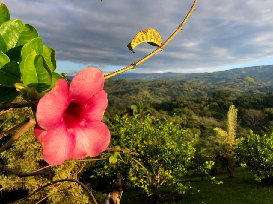 Luxury Villa Caoba- Private, Serene, Amazing Views and Starlink