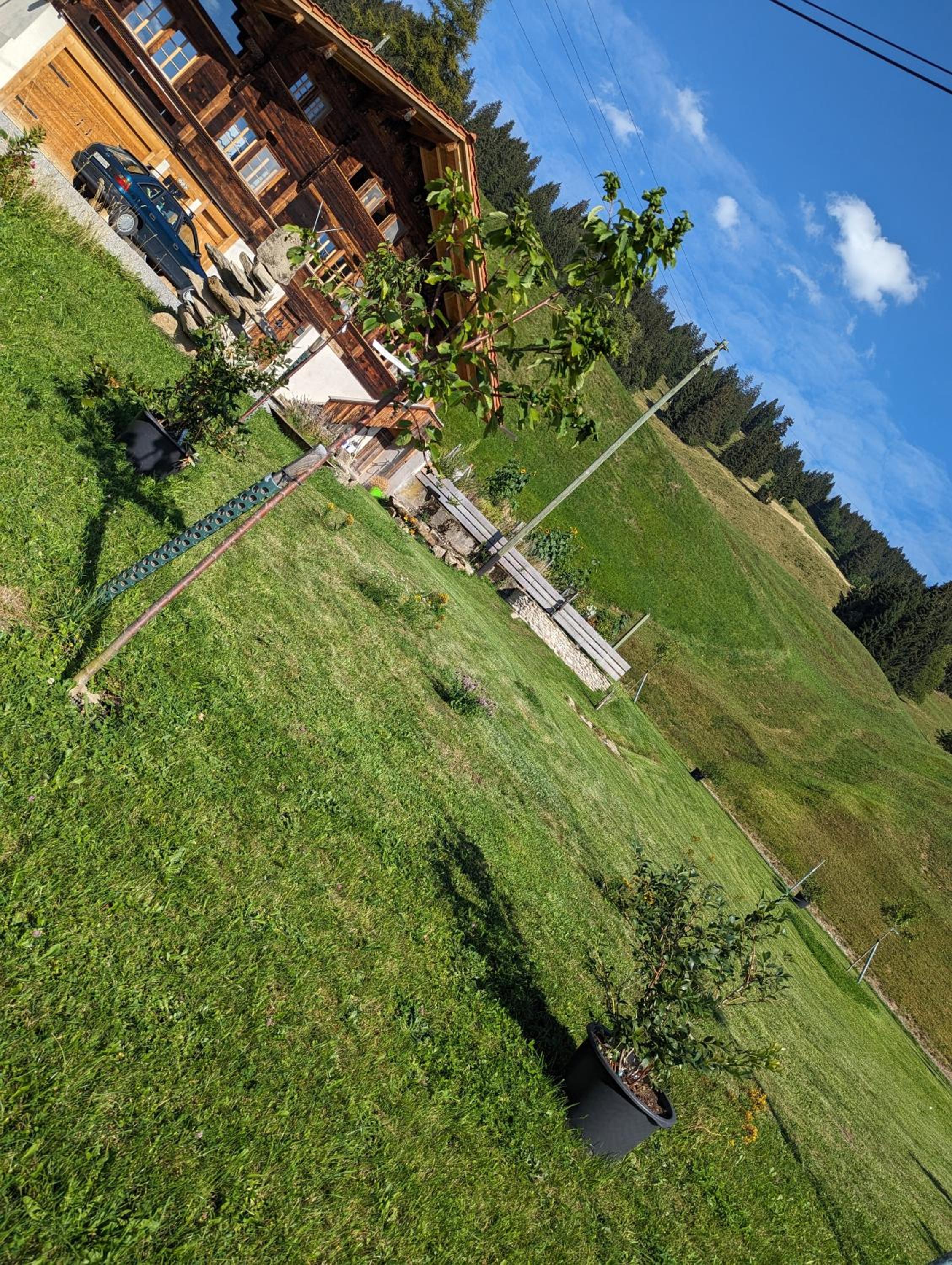 Apartment Chalet Grittelihus, between Interlaken - Gstaad