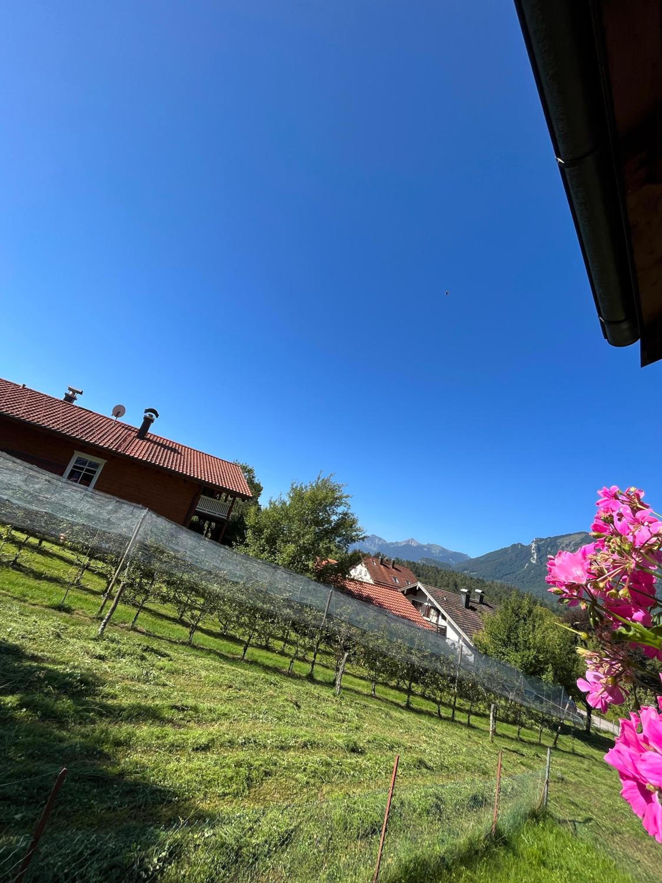 Haus Huber, Waltraud Huber