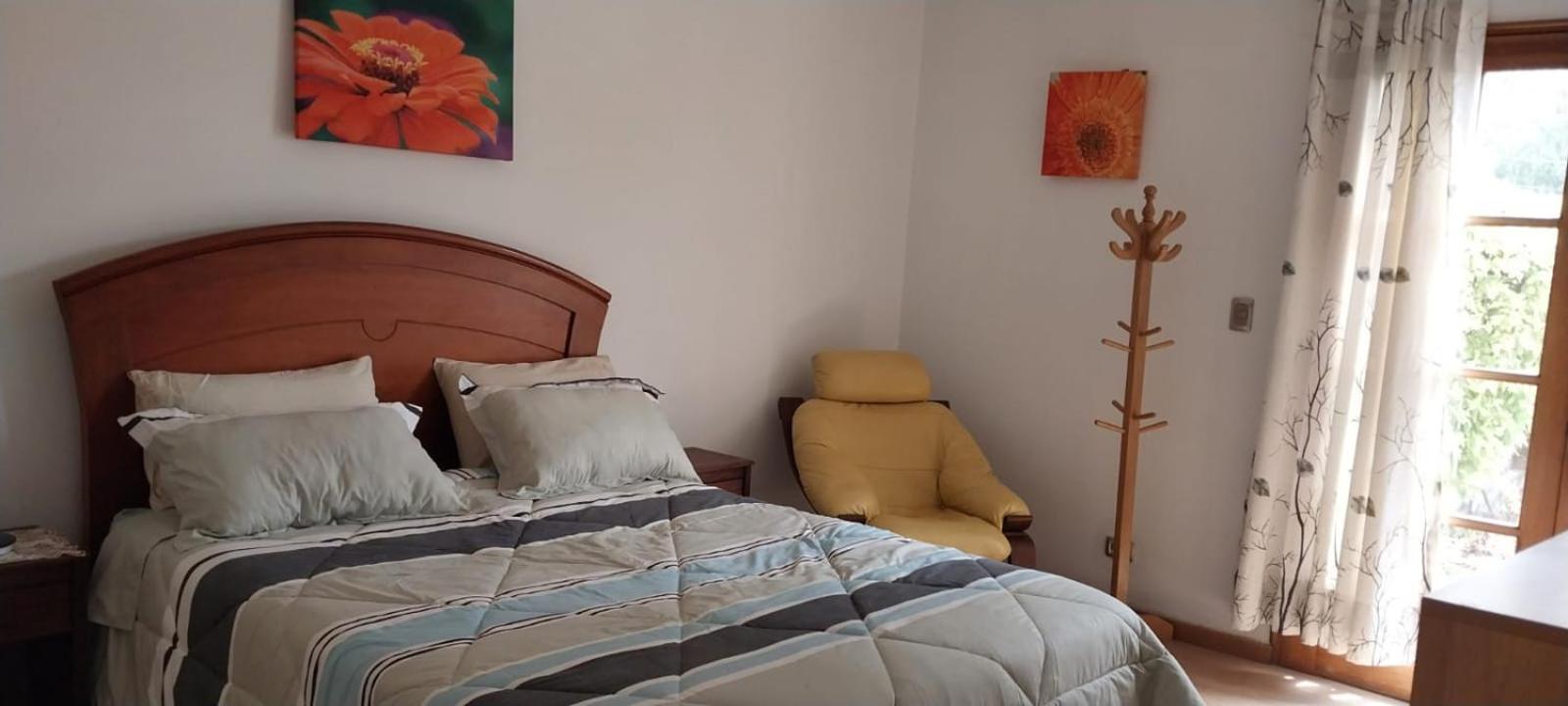 Las buganvilias