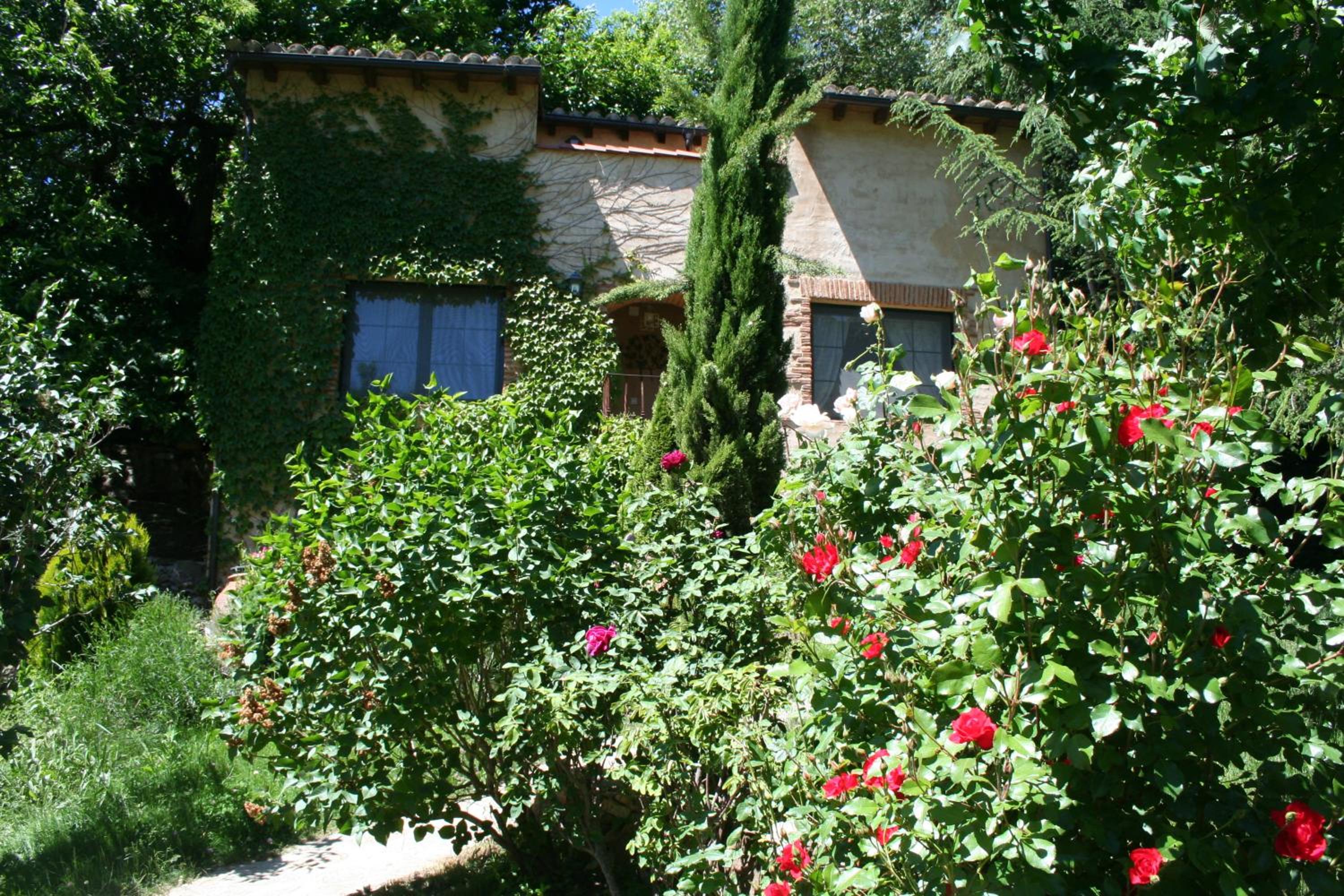 Photo 11