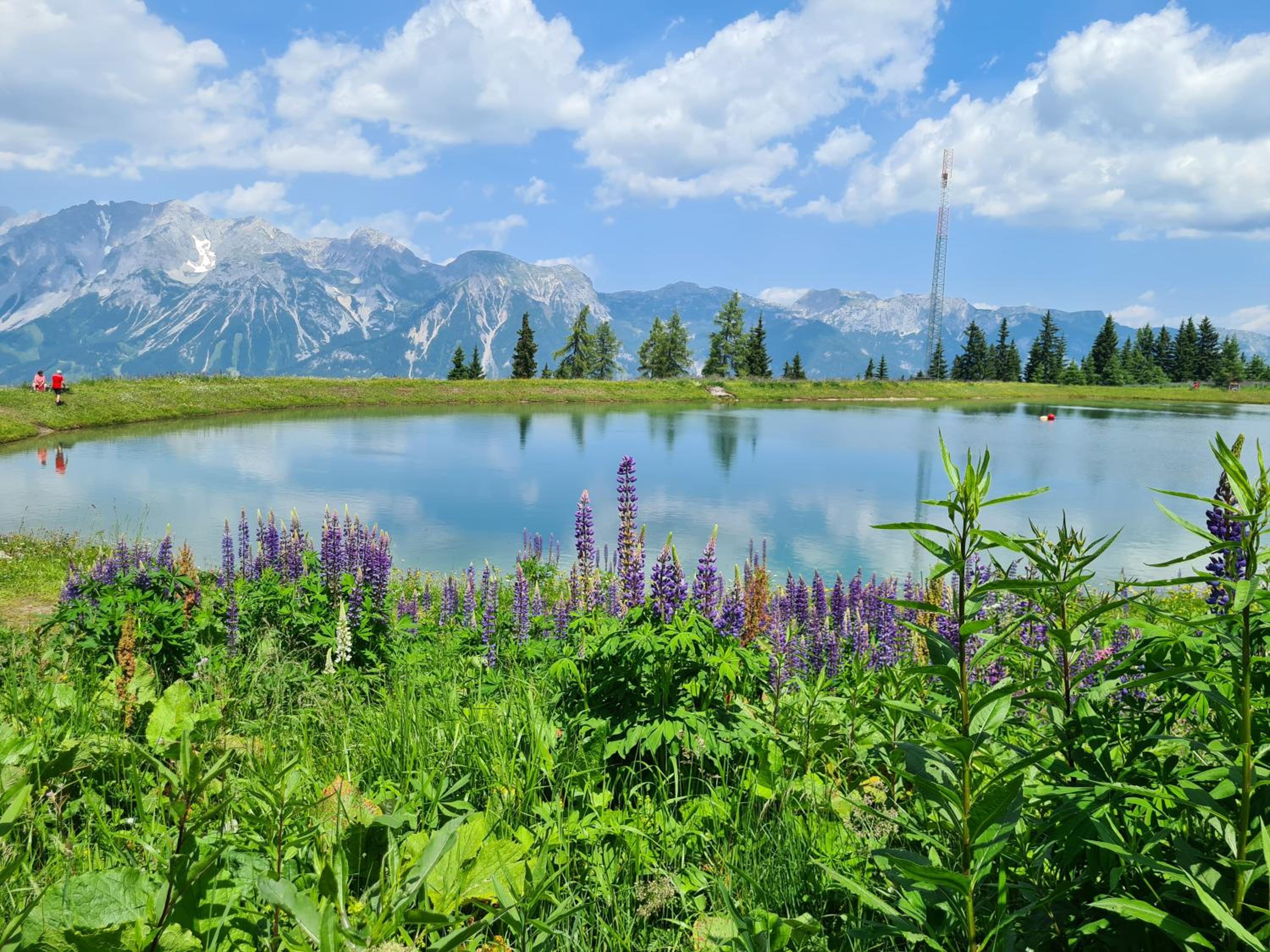 Bright Side of Life - Schladming am Sonnenhang