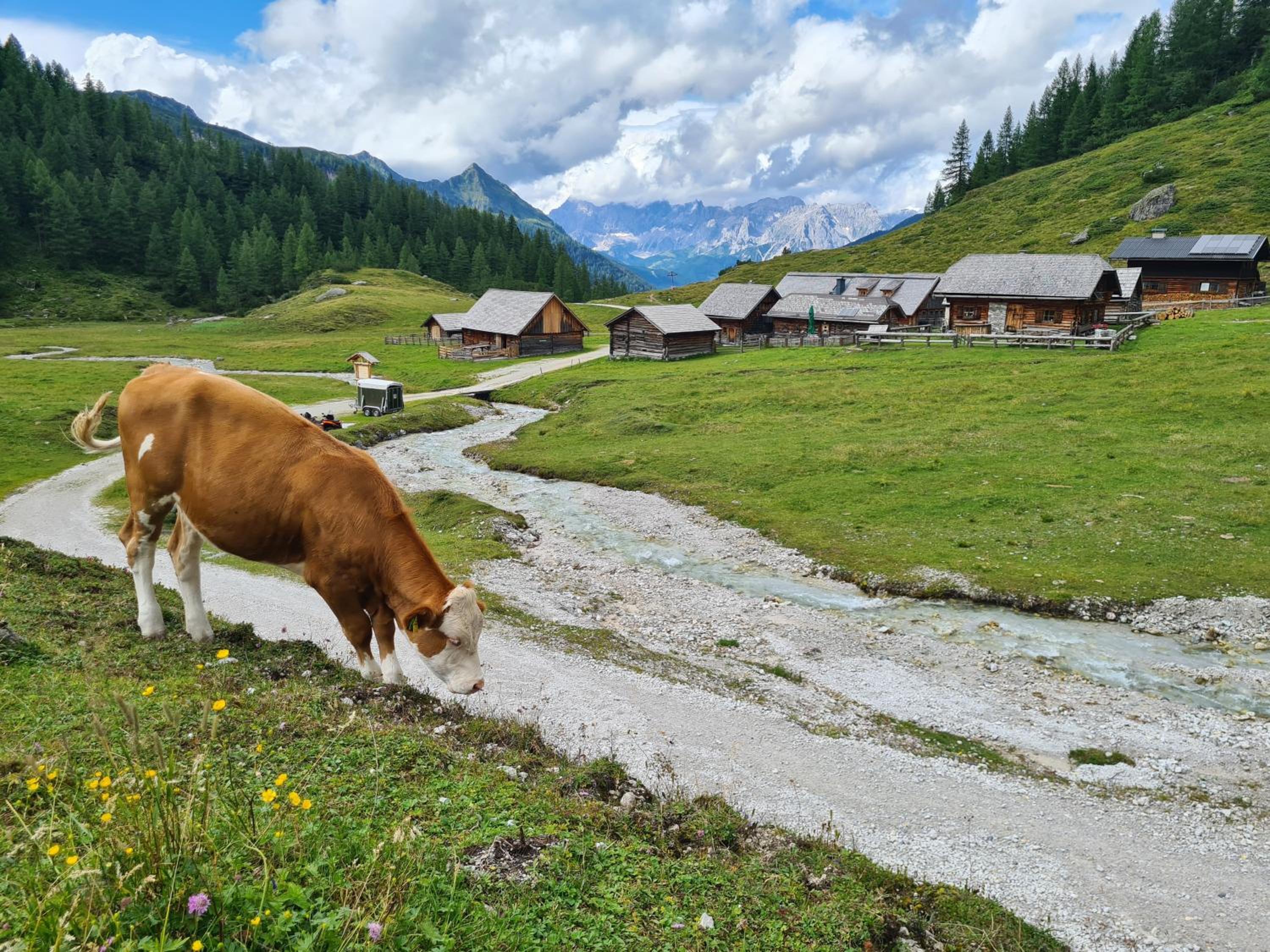 Bright Side of Life - Schladming am Sonnenhang