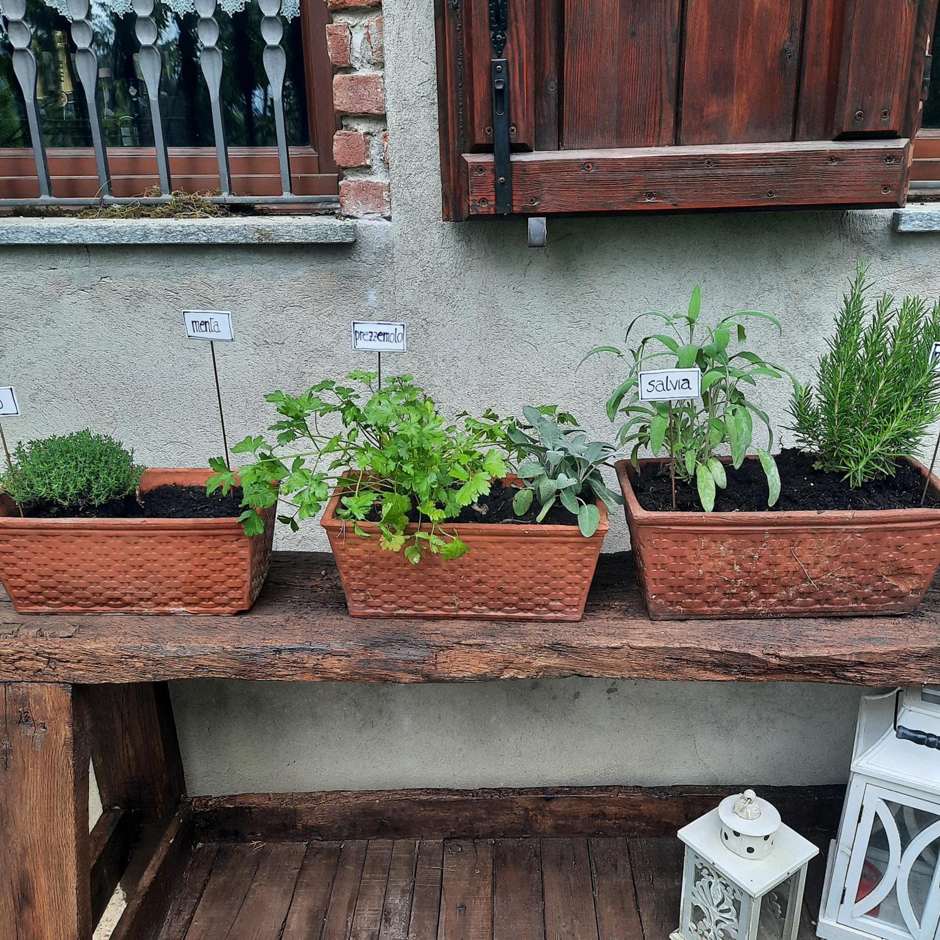 CascinaMirta