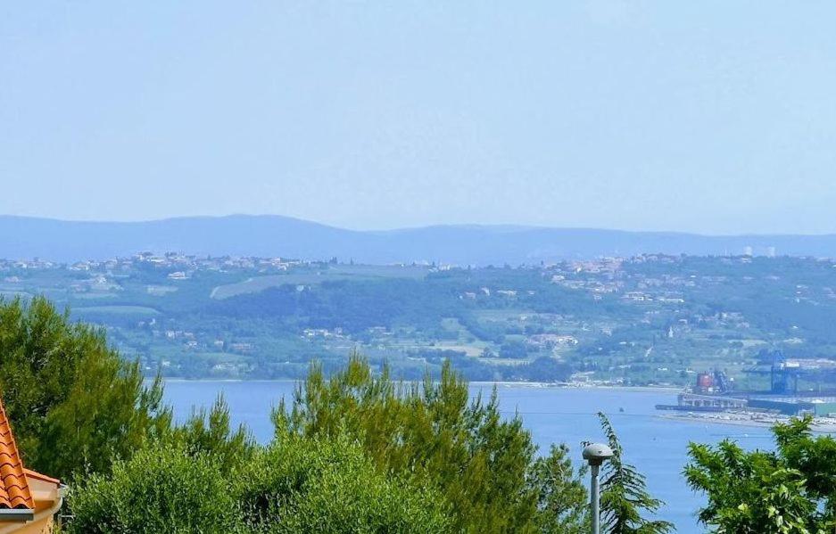 Hotel Apartmaji Koper