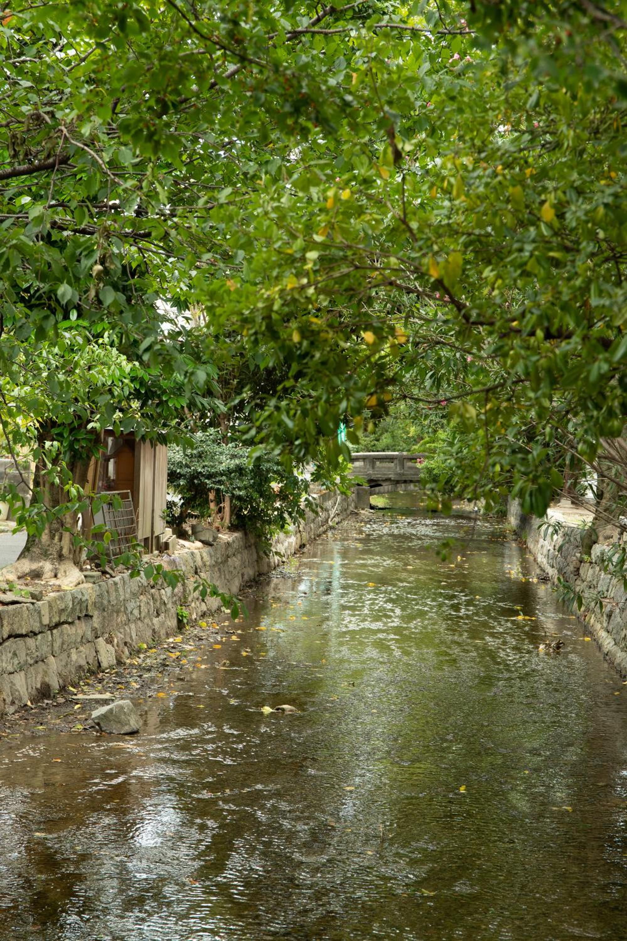 初音(はつね)