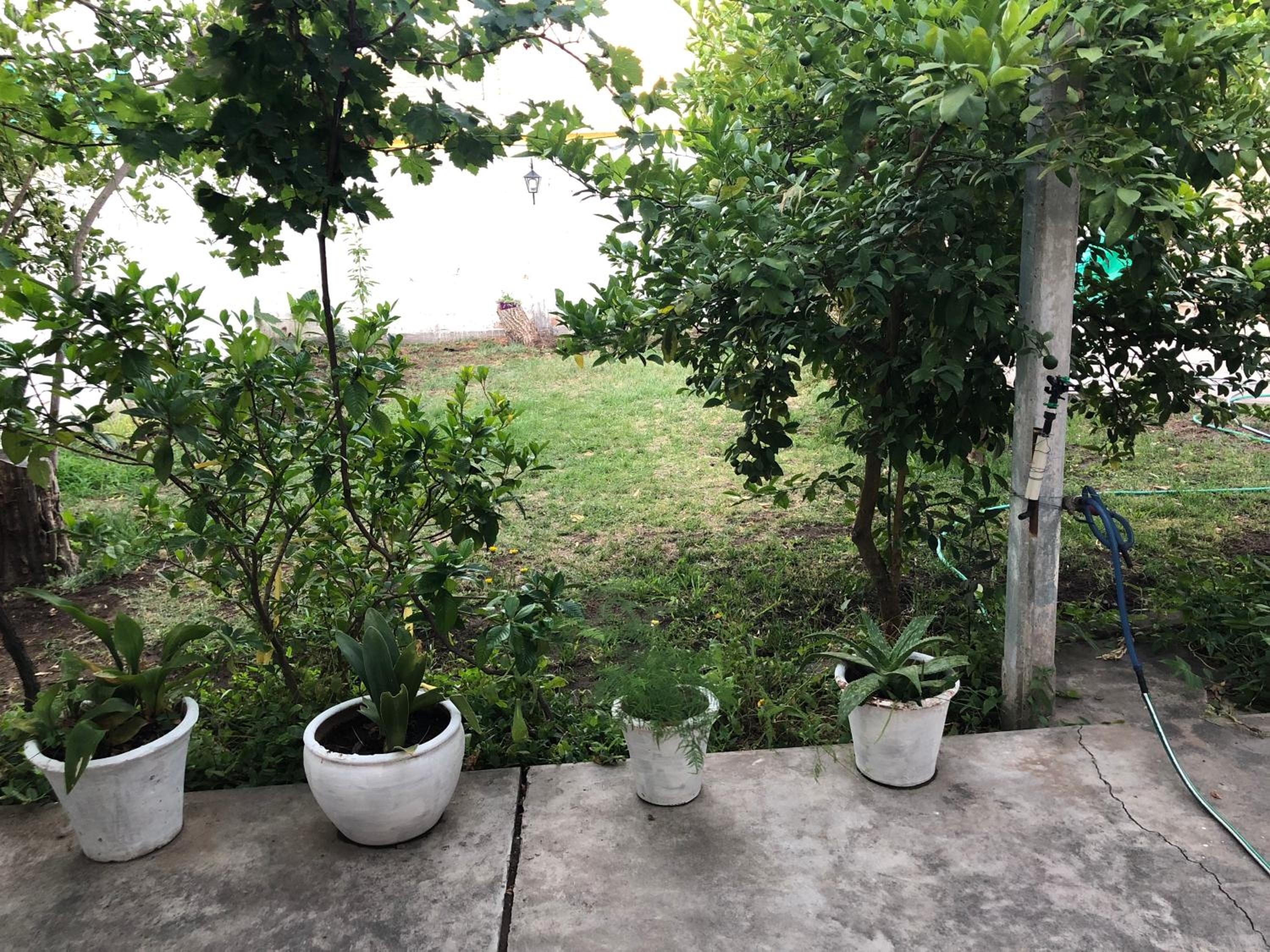 Casa Gattelli