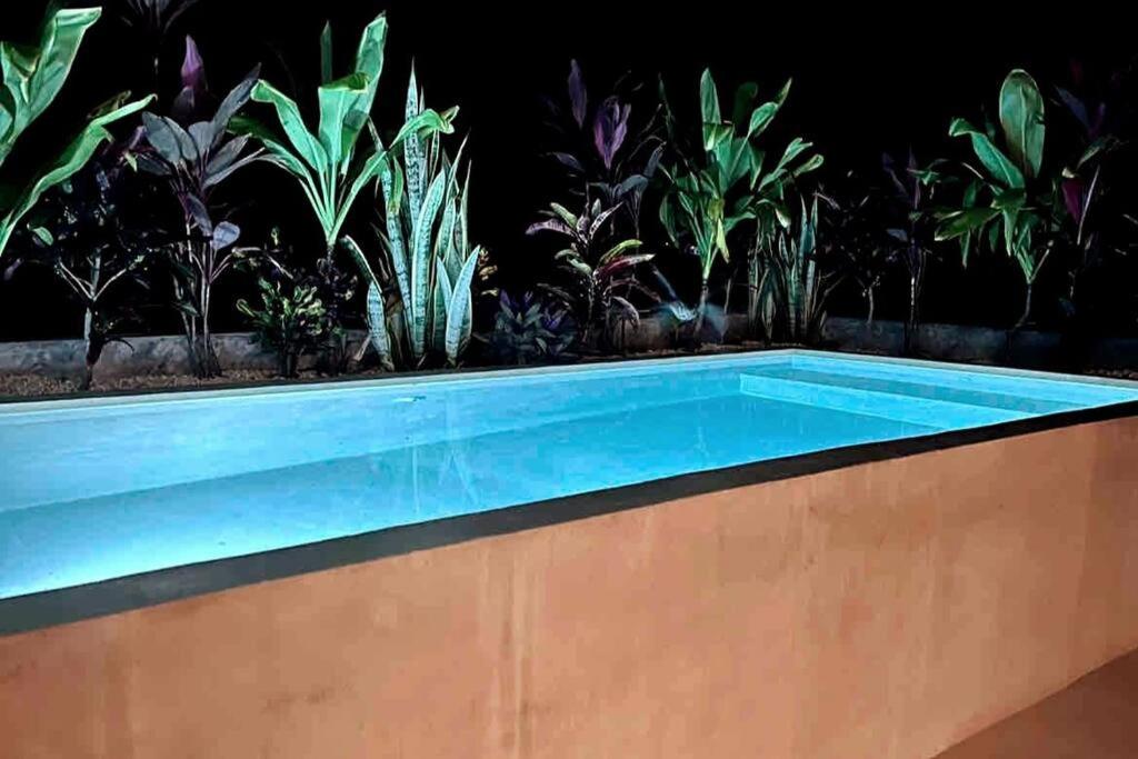 Lush Tulum Rooftop Condo with Ensuite Pool & Wifi view 5