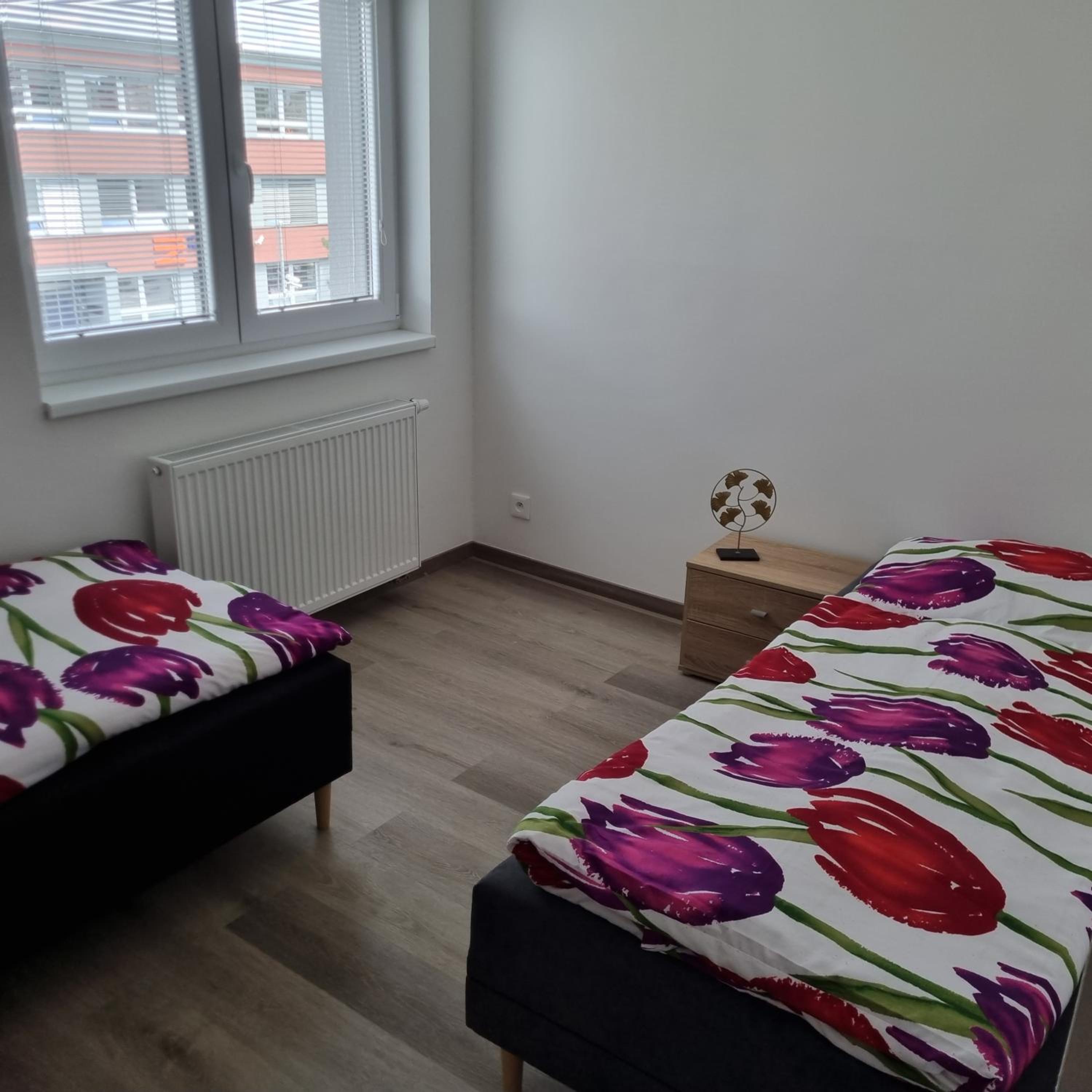 Černá Růže- Apartmán 5