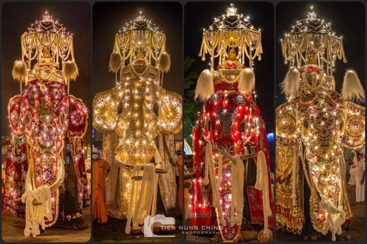 Royal Residency