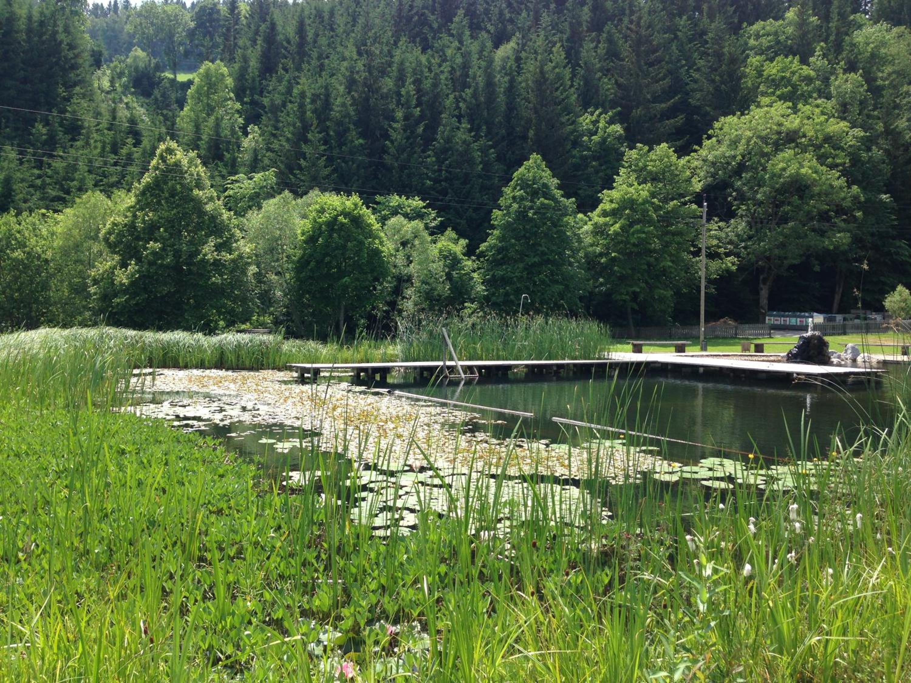 Gasthof zur Post view 5