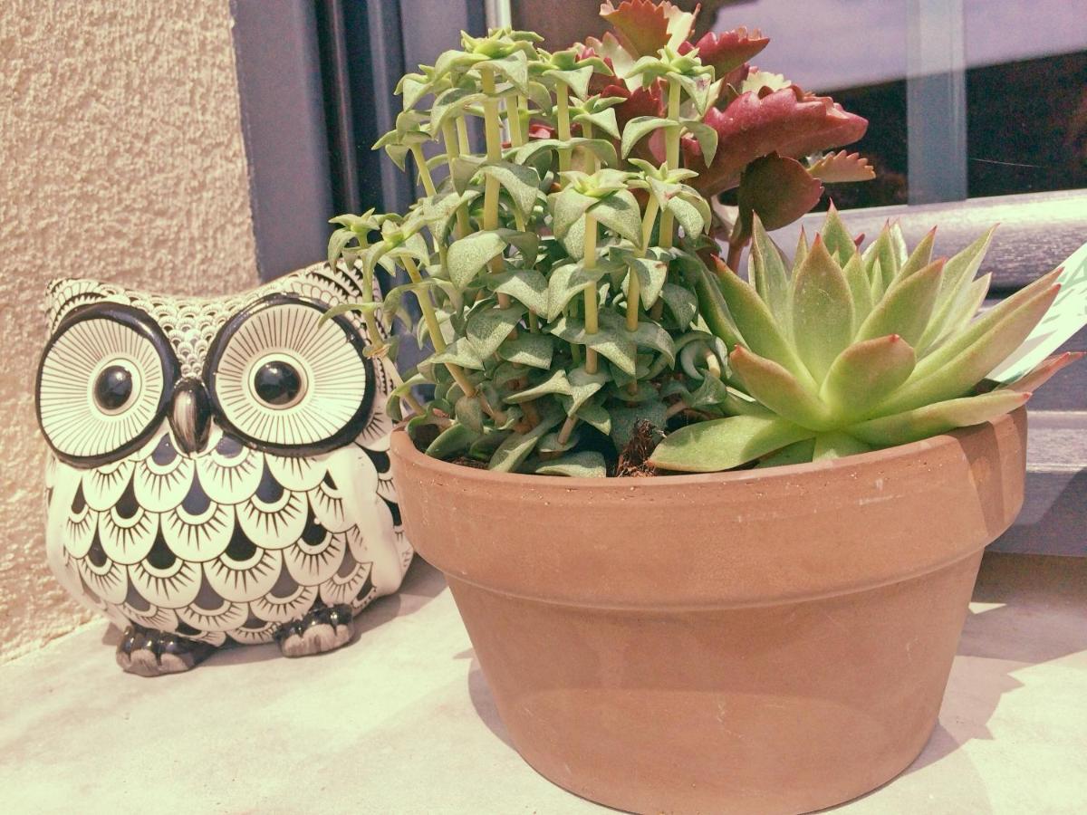 La Ferme d'Antan Baie de Somme - Property Image 14