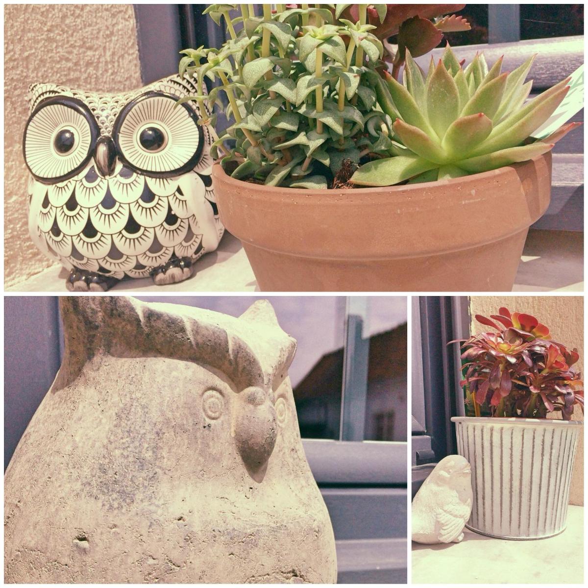 La Ferme d'Antan Baie de Somme - Property Image 9