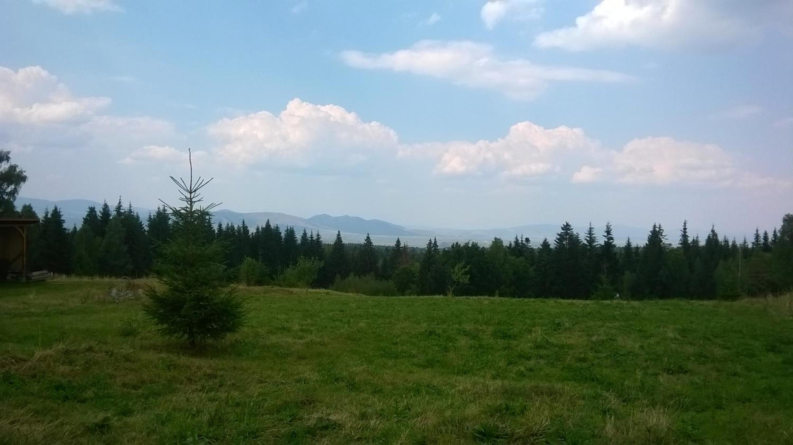 Pensiunea Dealu Negru 17B view 4